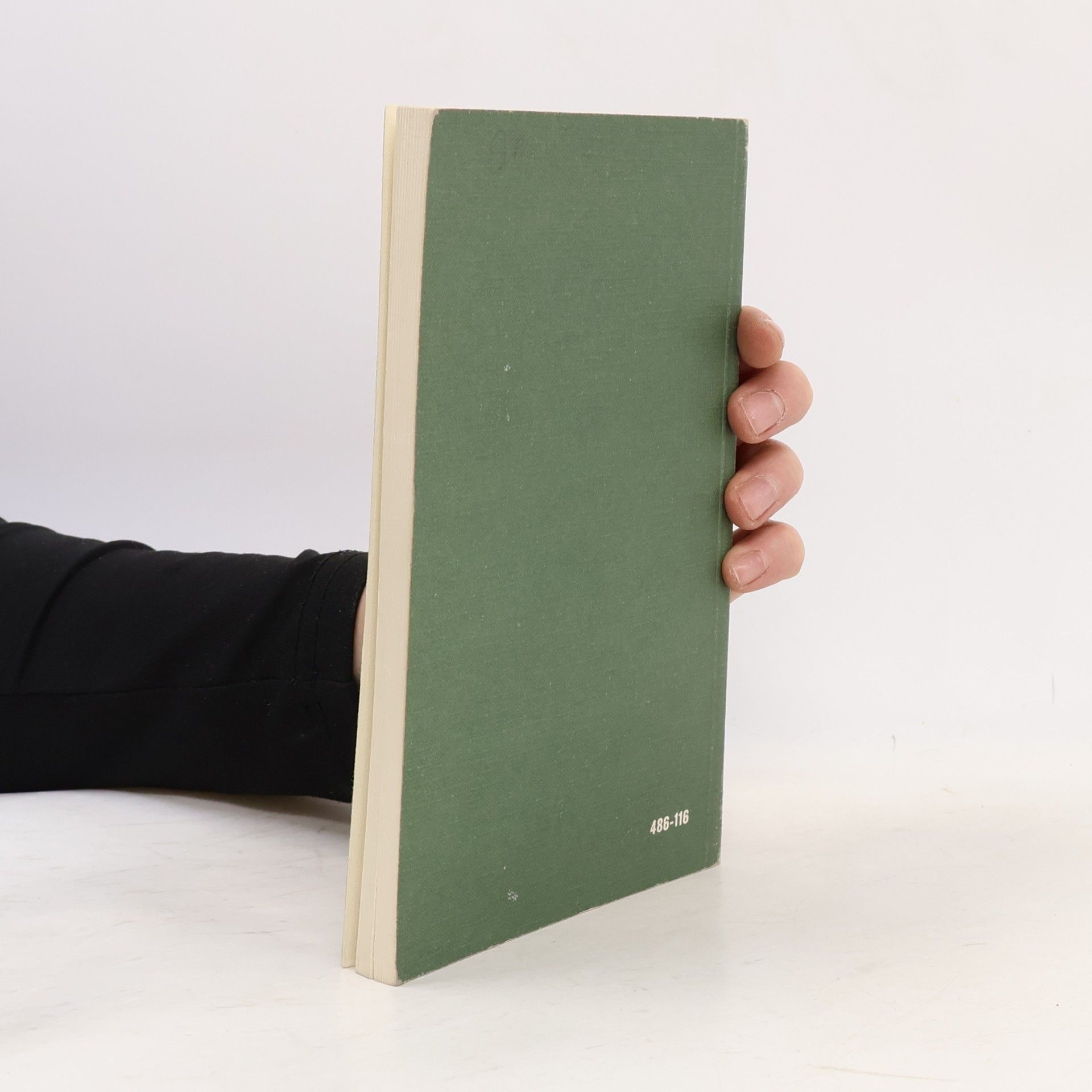 Rudolf Heinrich Schäfer Interpretationen: Unterm Birnbaum, Frau Jenny Treibel