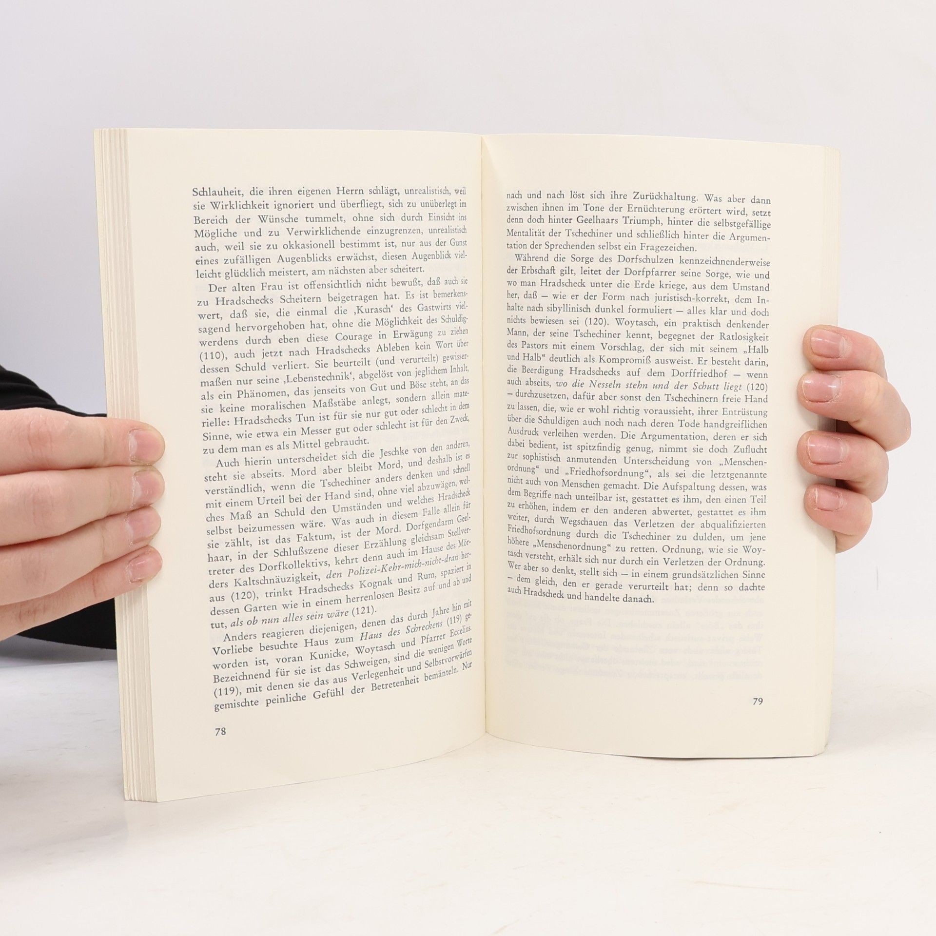Rudolf Heinrich Schäfer Interpretationen: Unterm Birnbaum, Frau Jenny Treibel