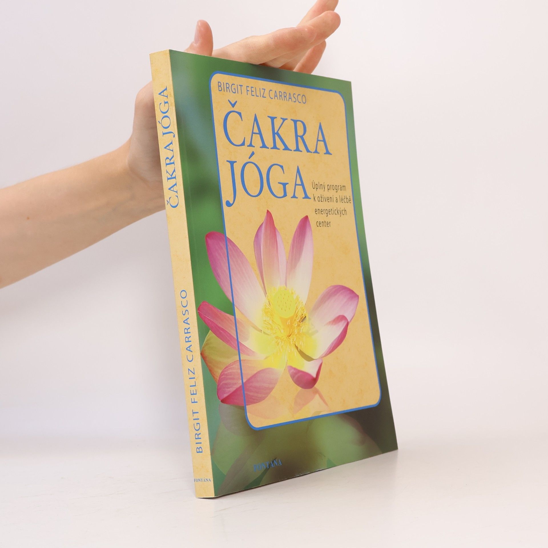 Birgit Feliz Carrasco Čakra jóga. Úplný program k oživení a léčbě energetických center