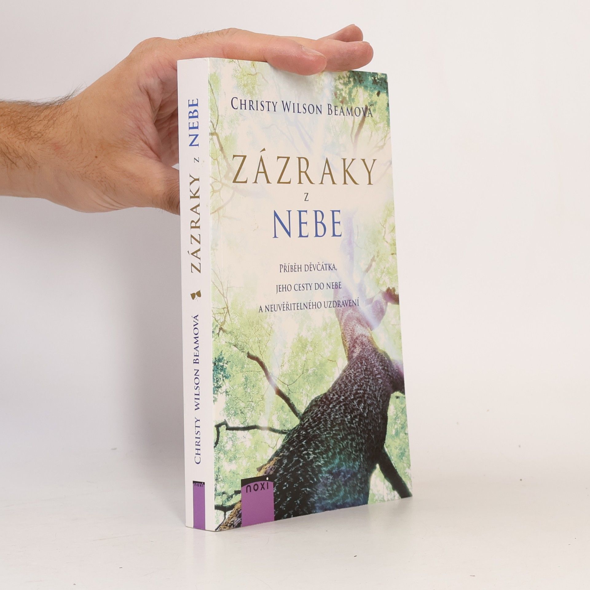 Christy Wilson Beam Zázraky z nebe