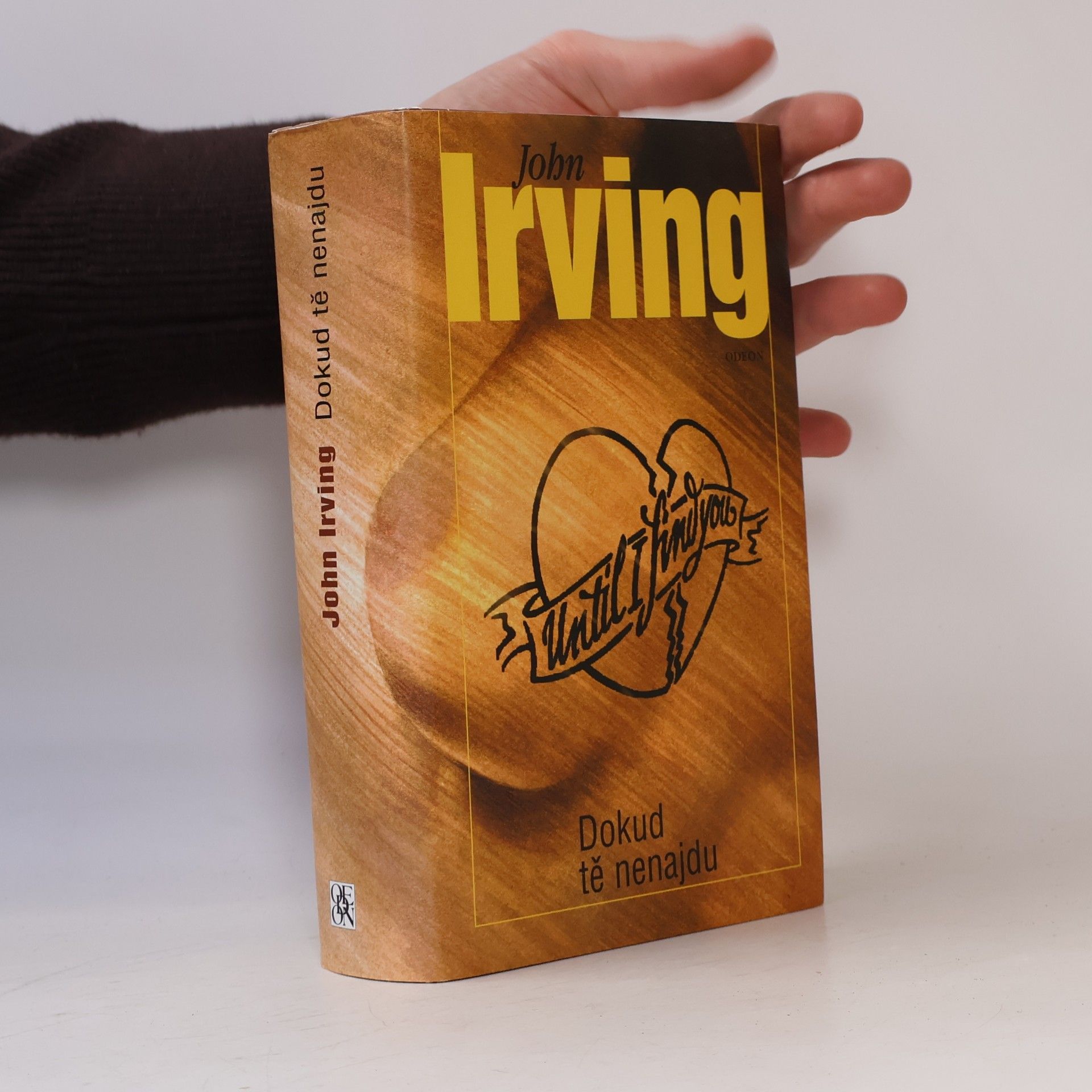 John Irving Dokud tě nenajdu