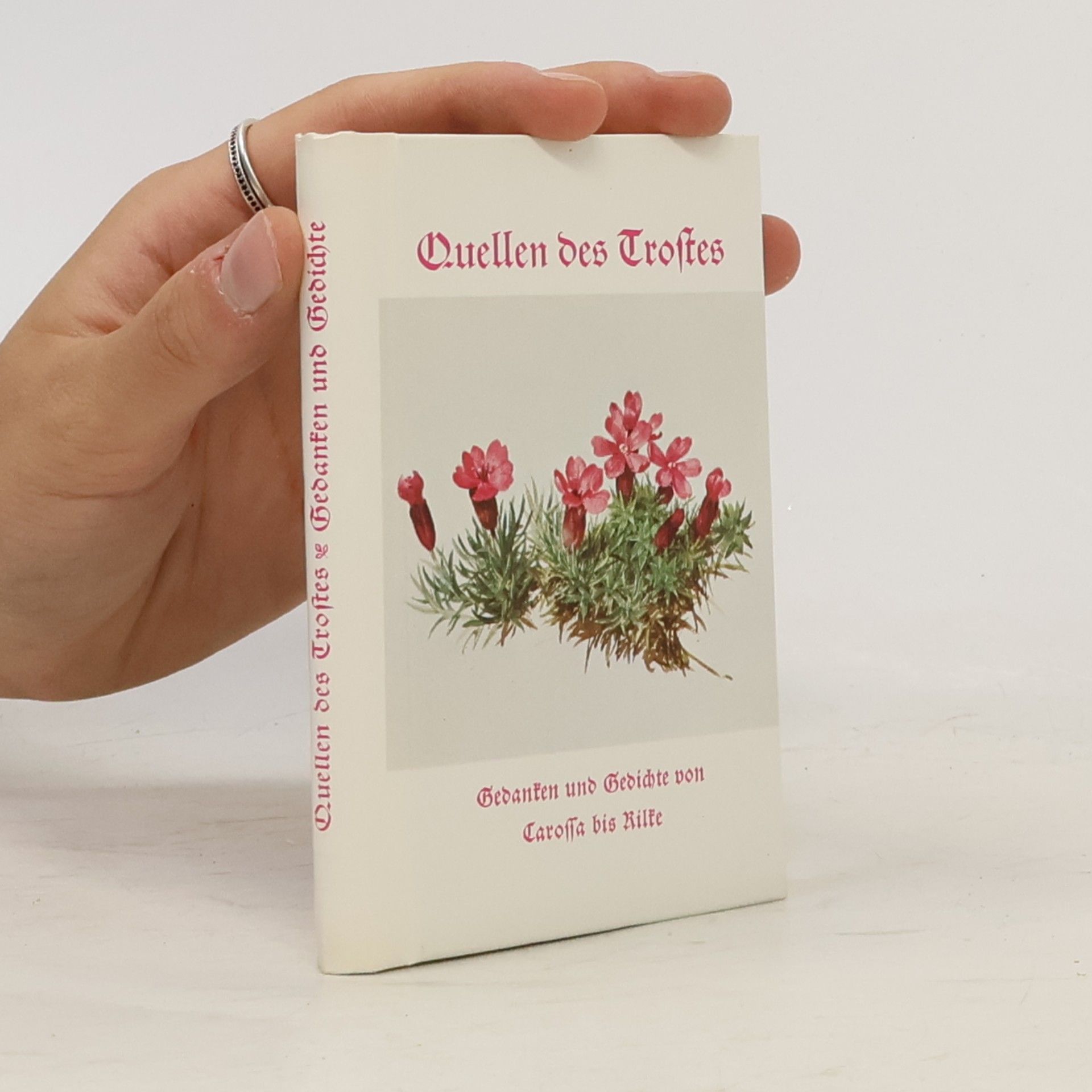 Quellen des Trostes