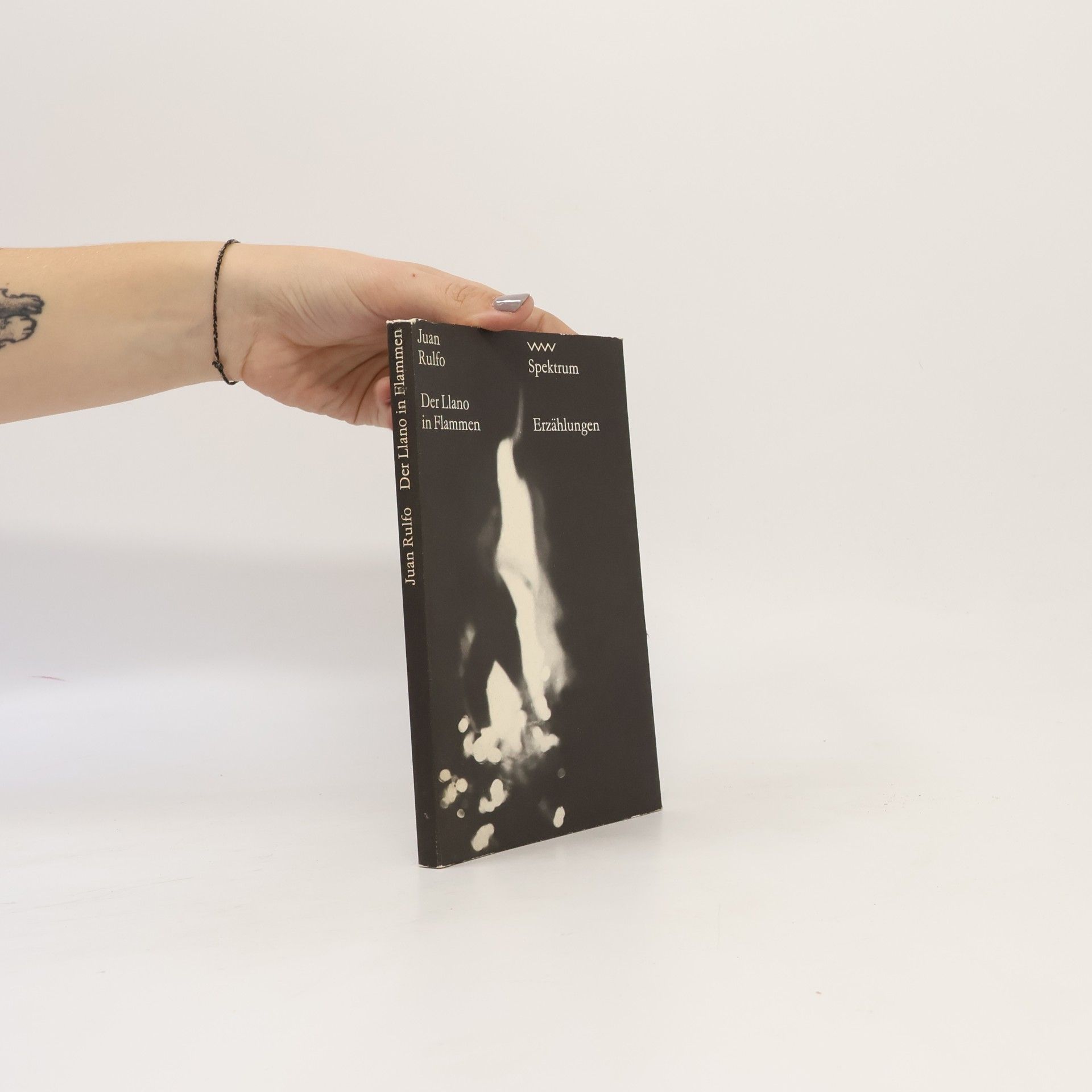 Juan Rulfo Der Llano in Flammen
