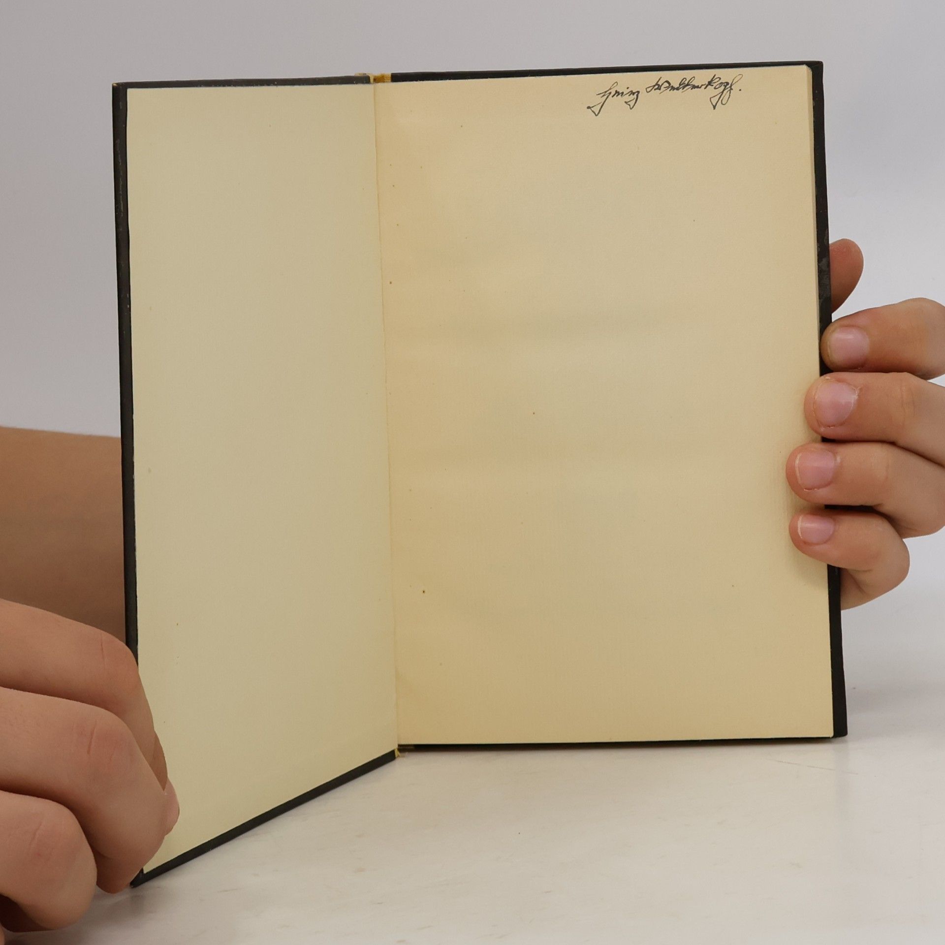 Wilhelm Kotzde Die Krone Svinthilas