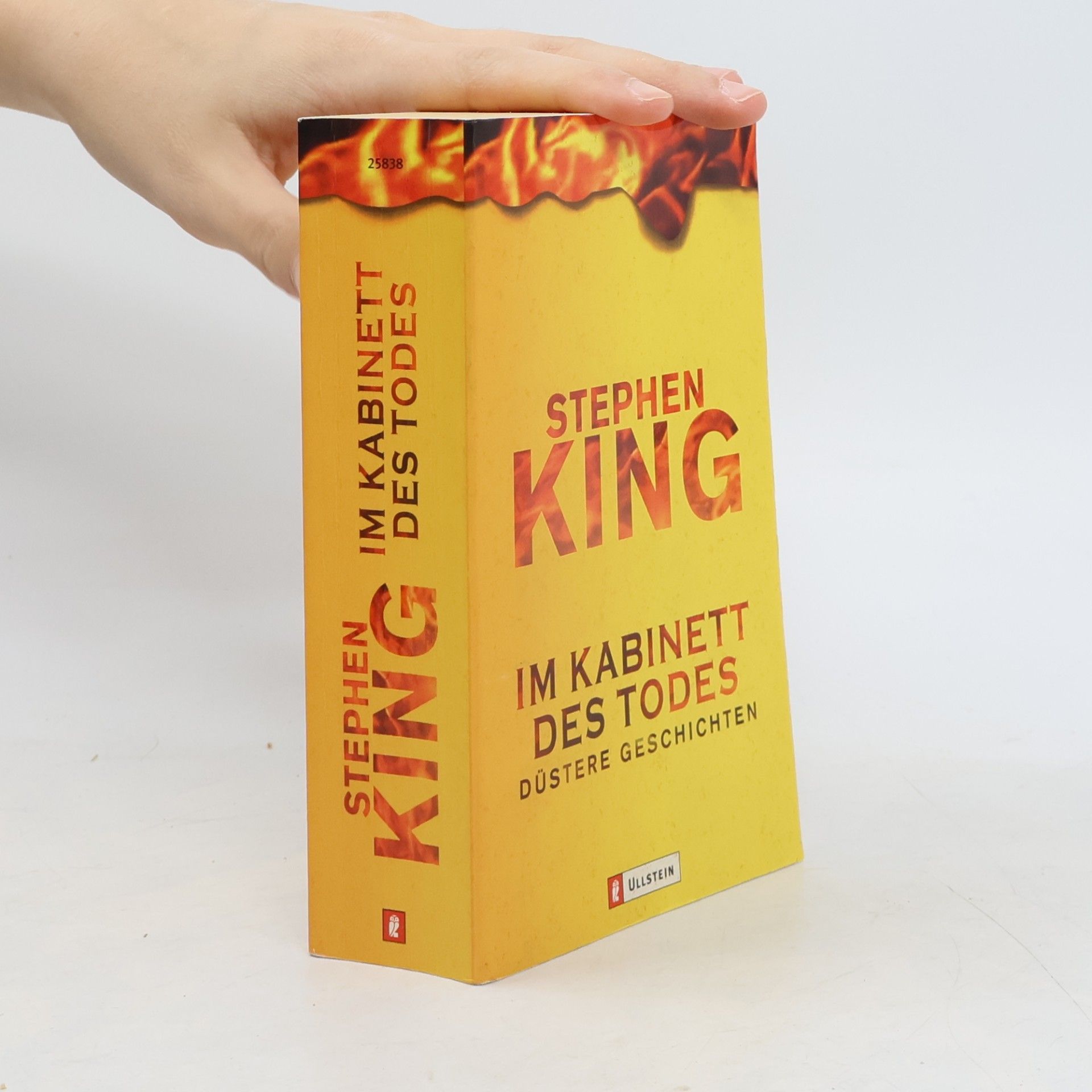 Stephen King Im Kabinett des Todes