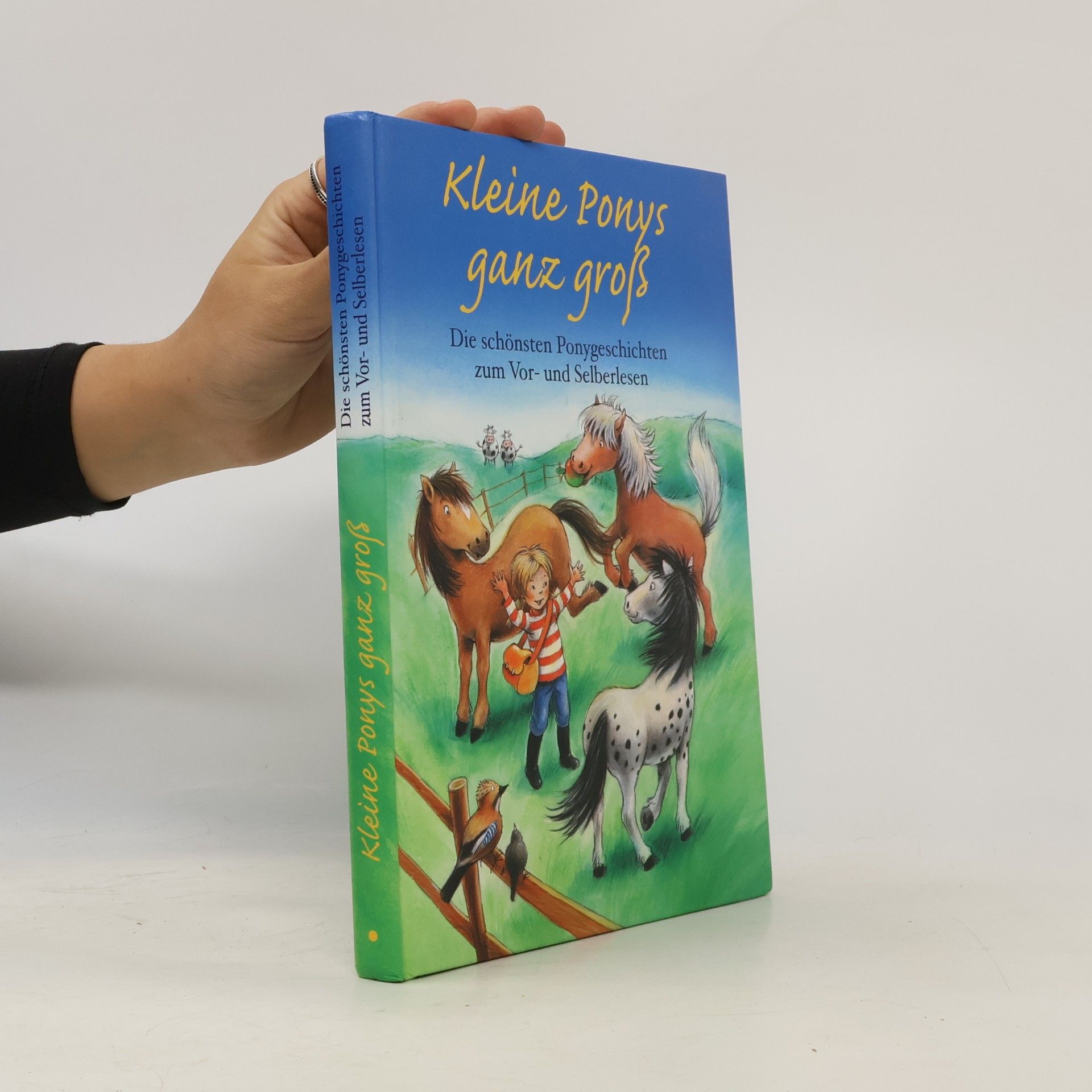 Bille Fuchs Kleine Ponys ganz groß