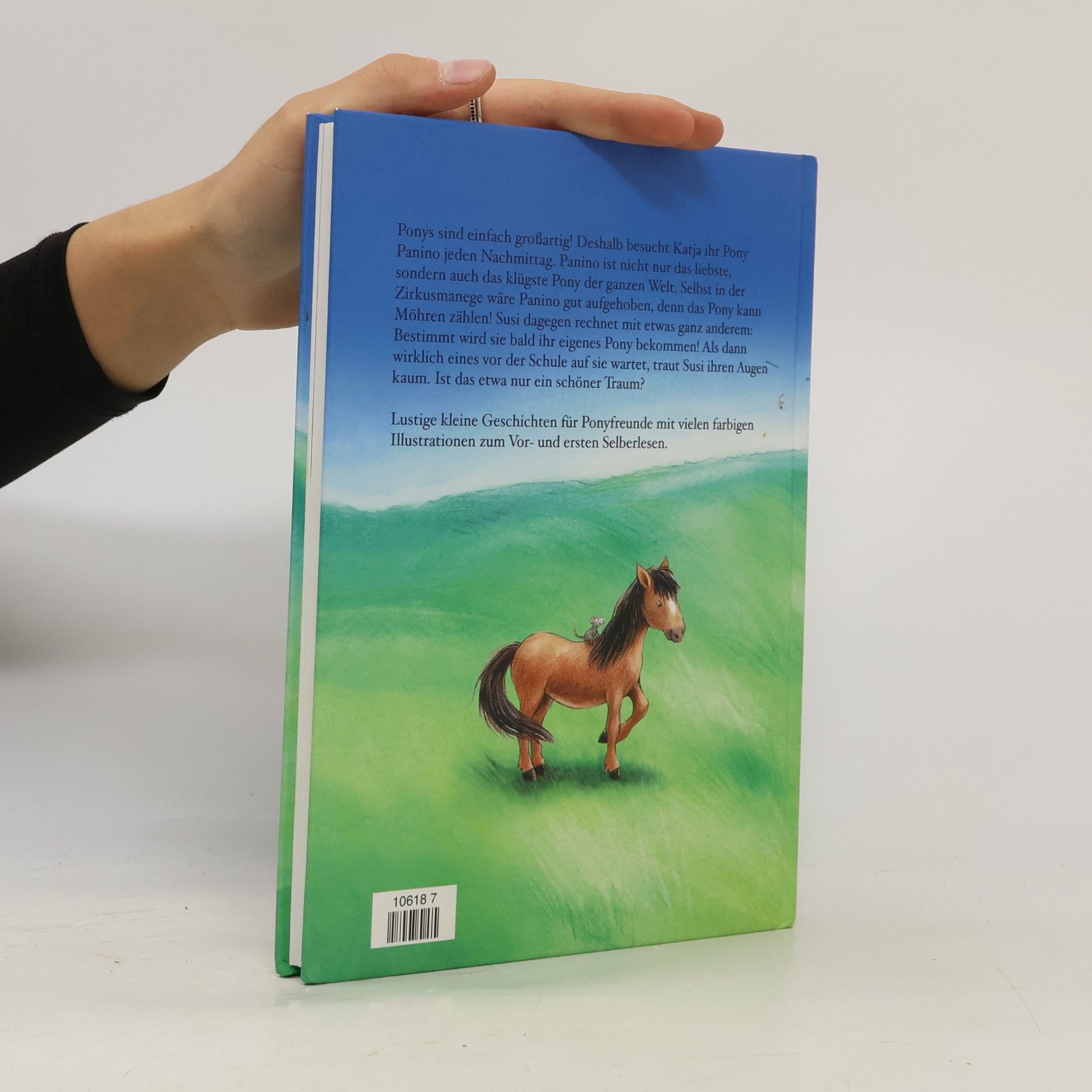 Werner Färber Kleine Ponys ganz groß