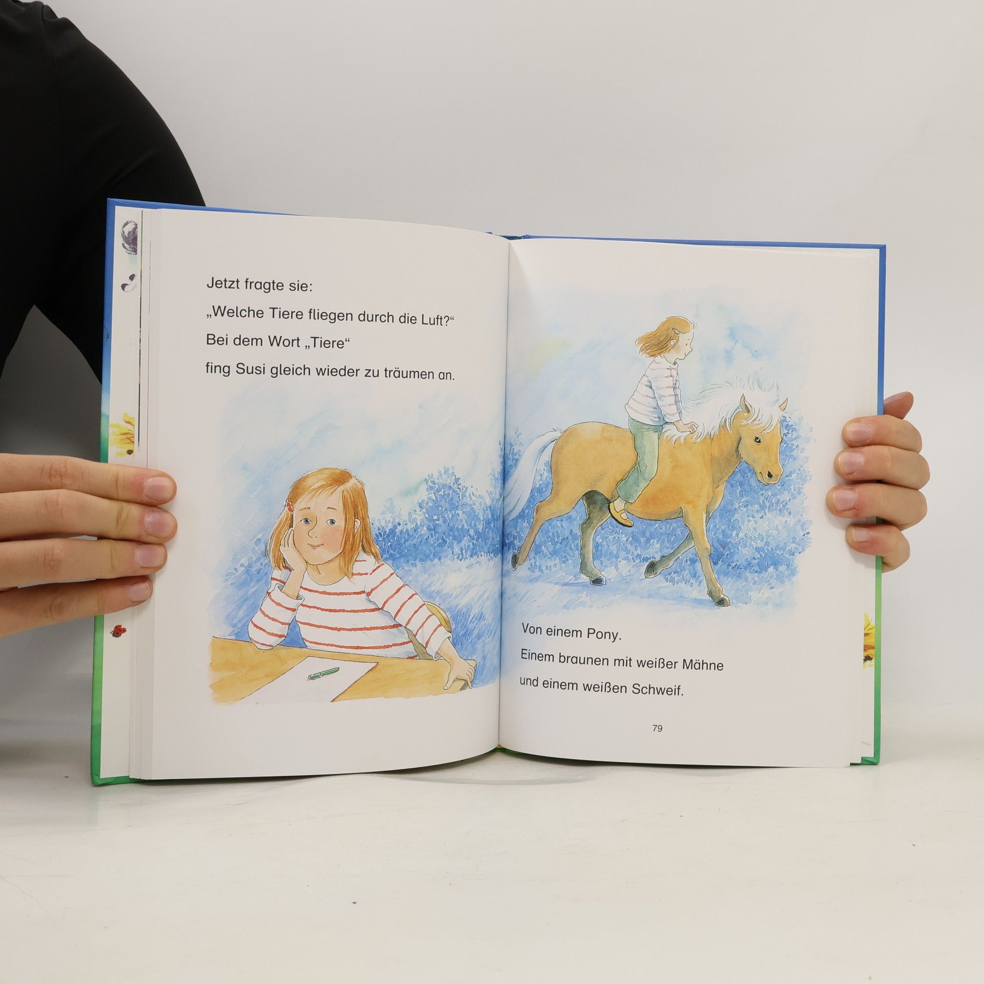 Werner Färber Kleine Ponys ganz groß