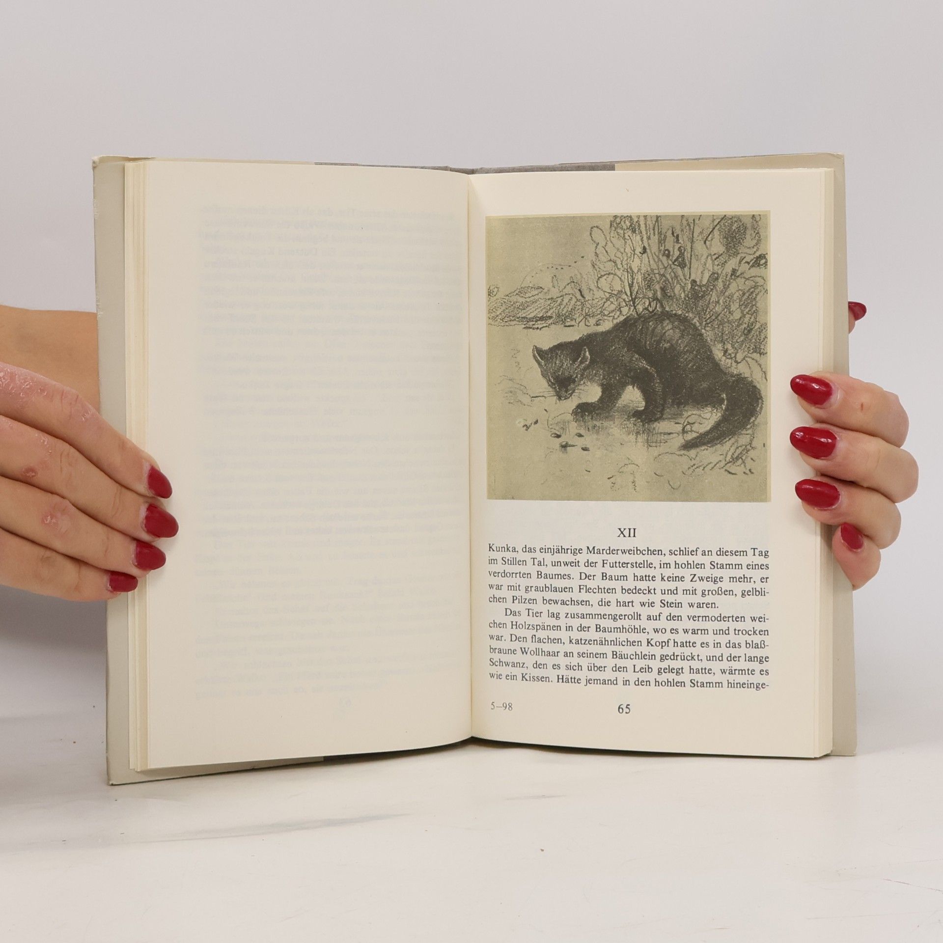 Emilijan Stanev Janko und der graue Wolf