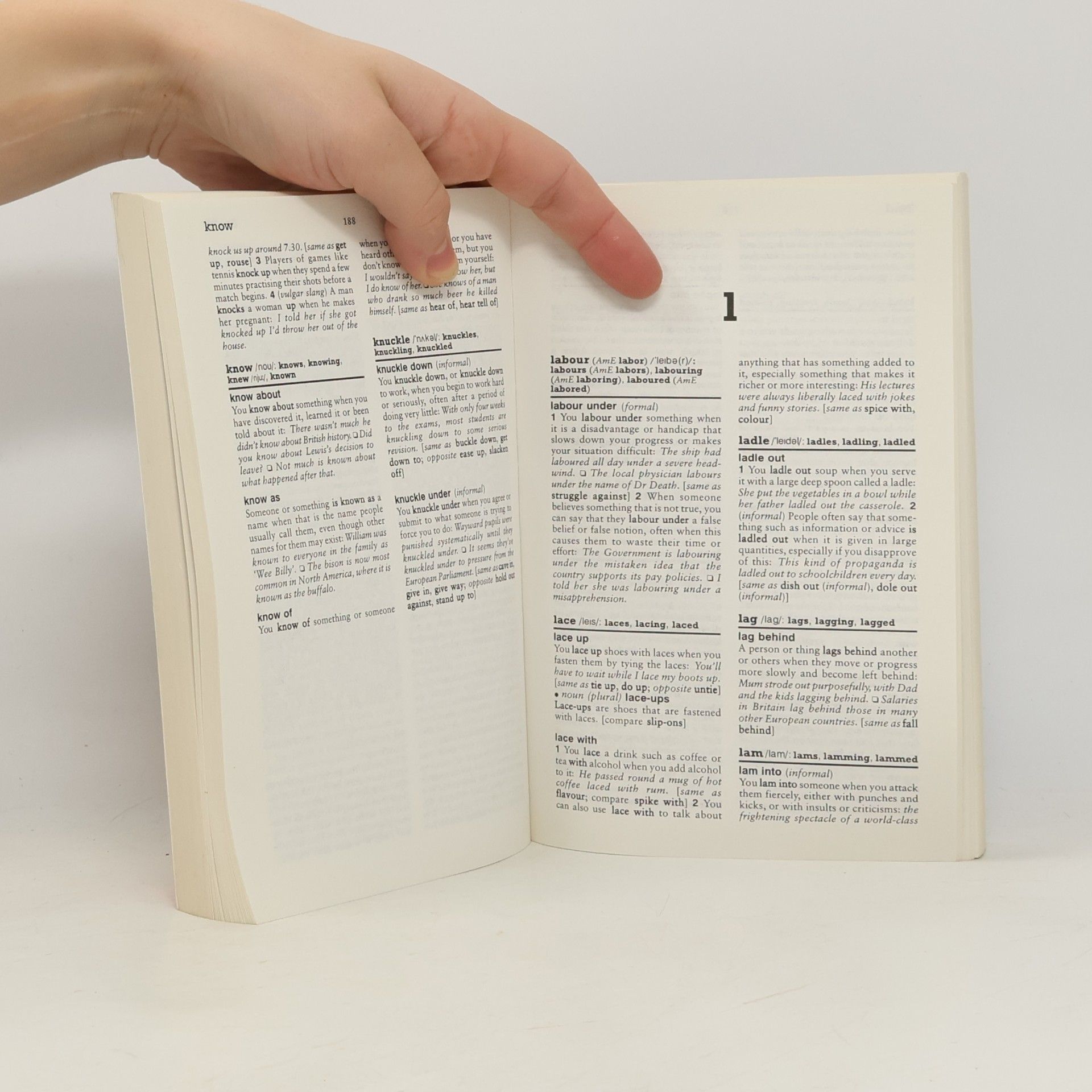 Kay Cullen Chambers Dictionary of Phrasal Verbs