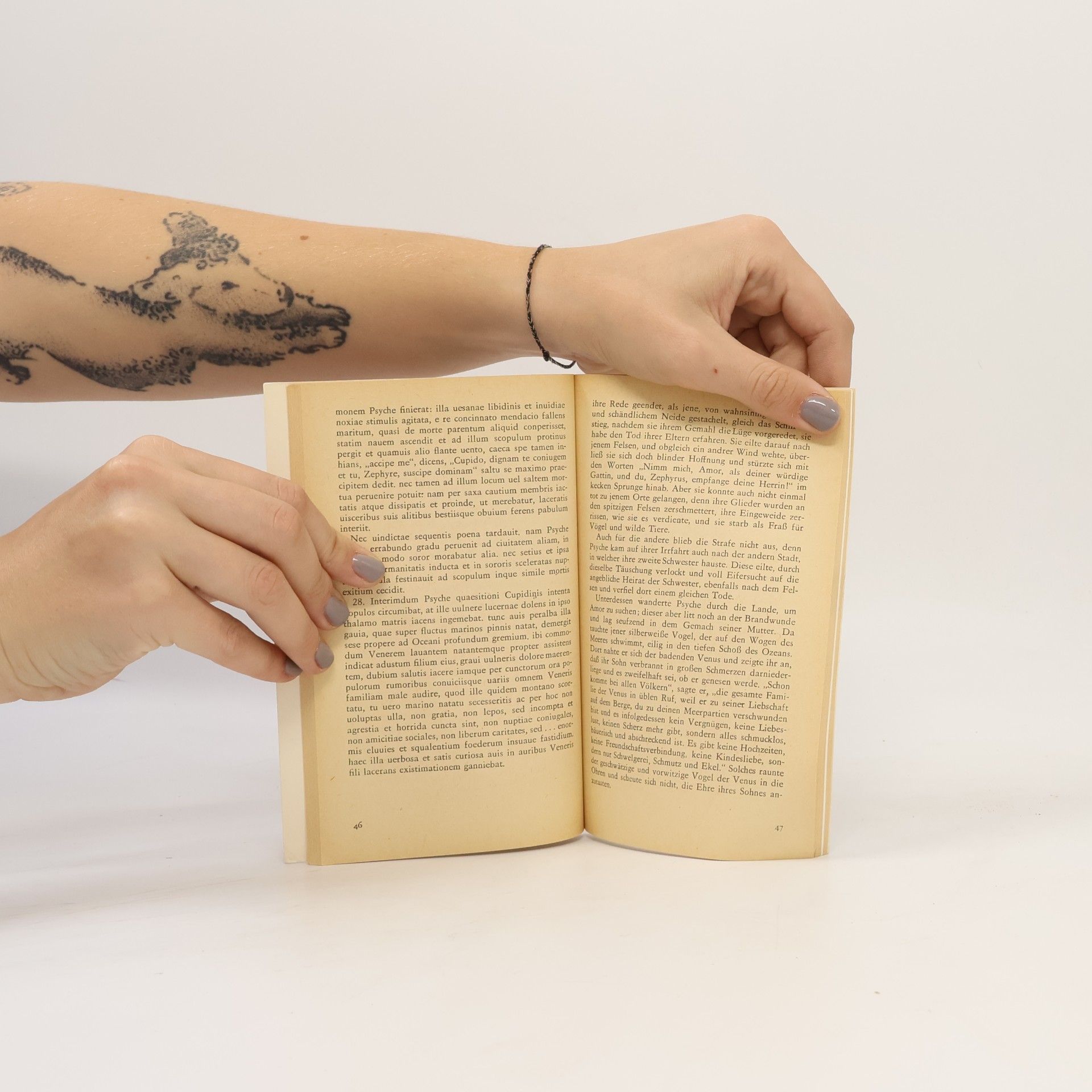 Apuleius Amor und Psyche