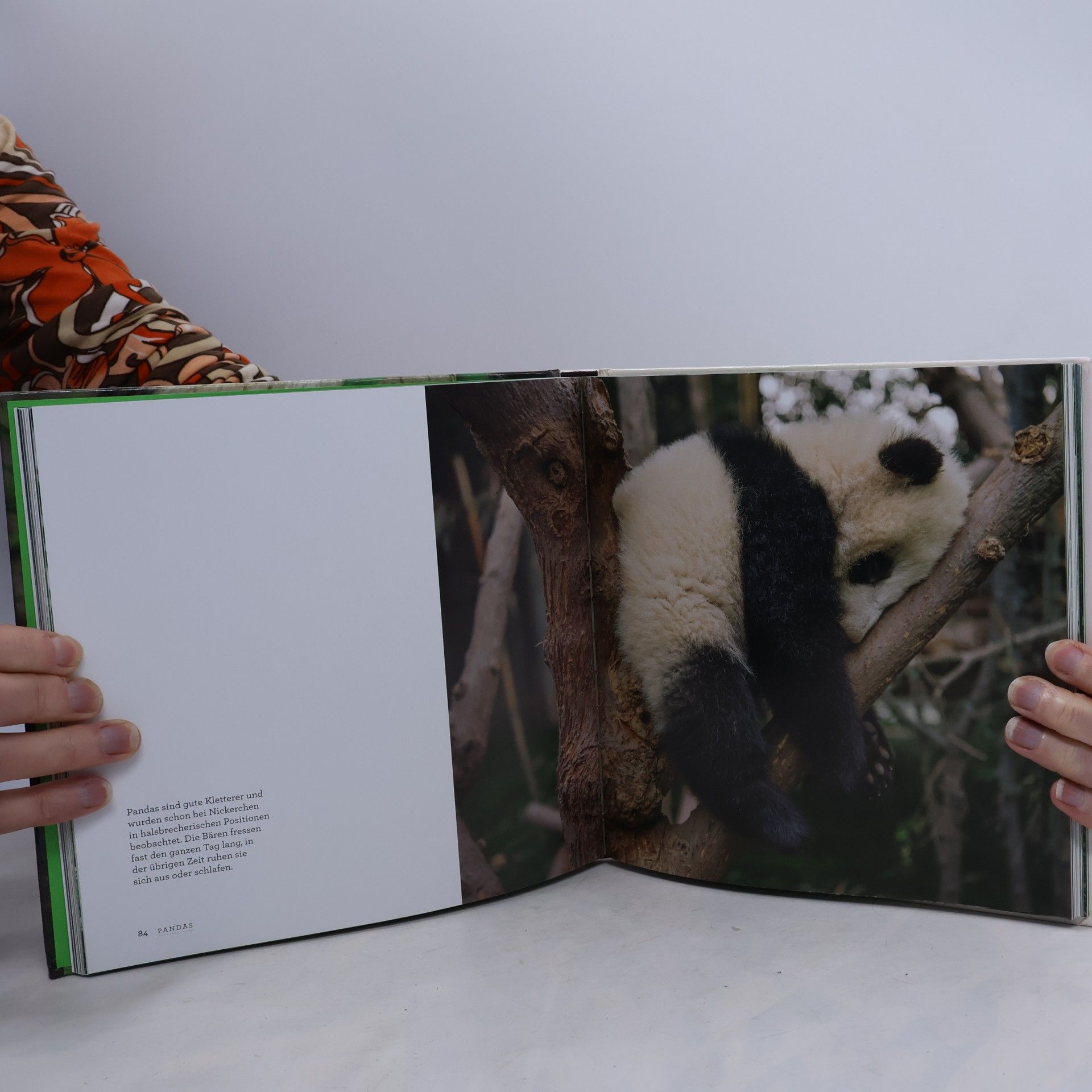Ami Vitale Pandas