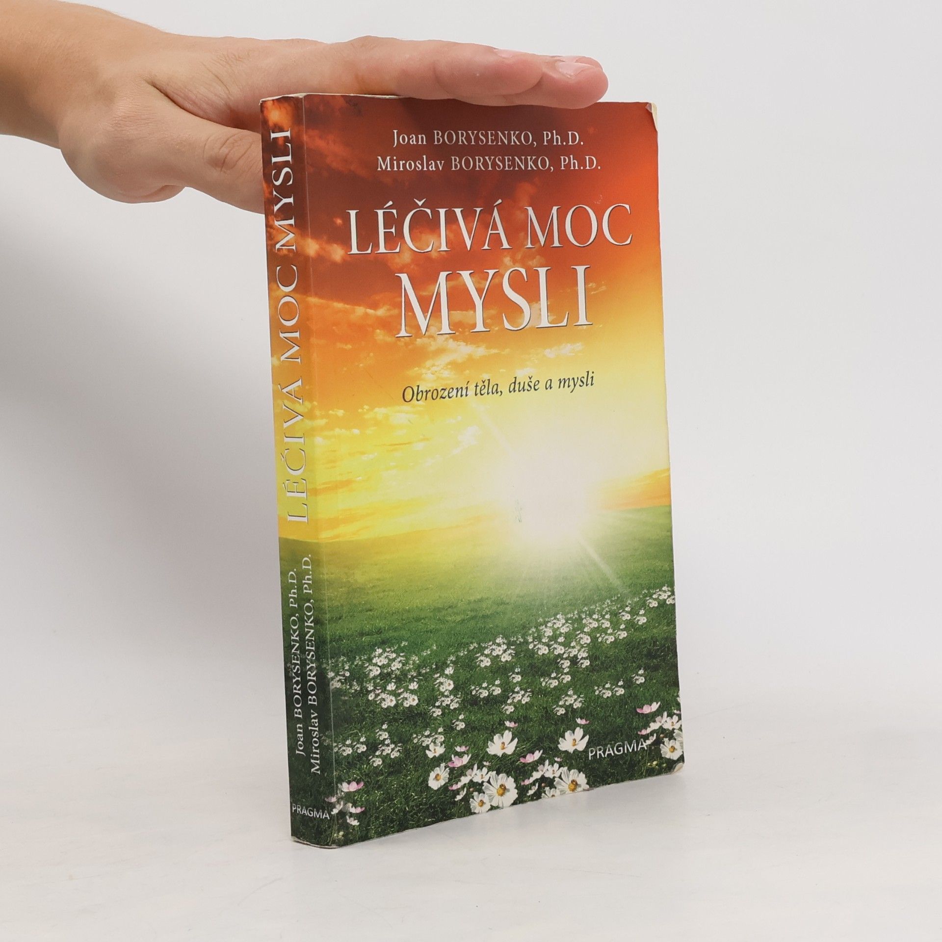 Joan Borysenko Léčivá moc mysli