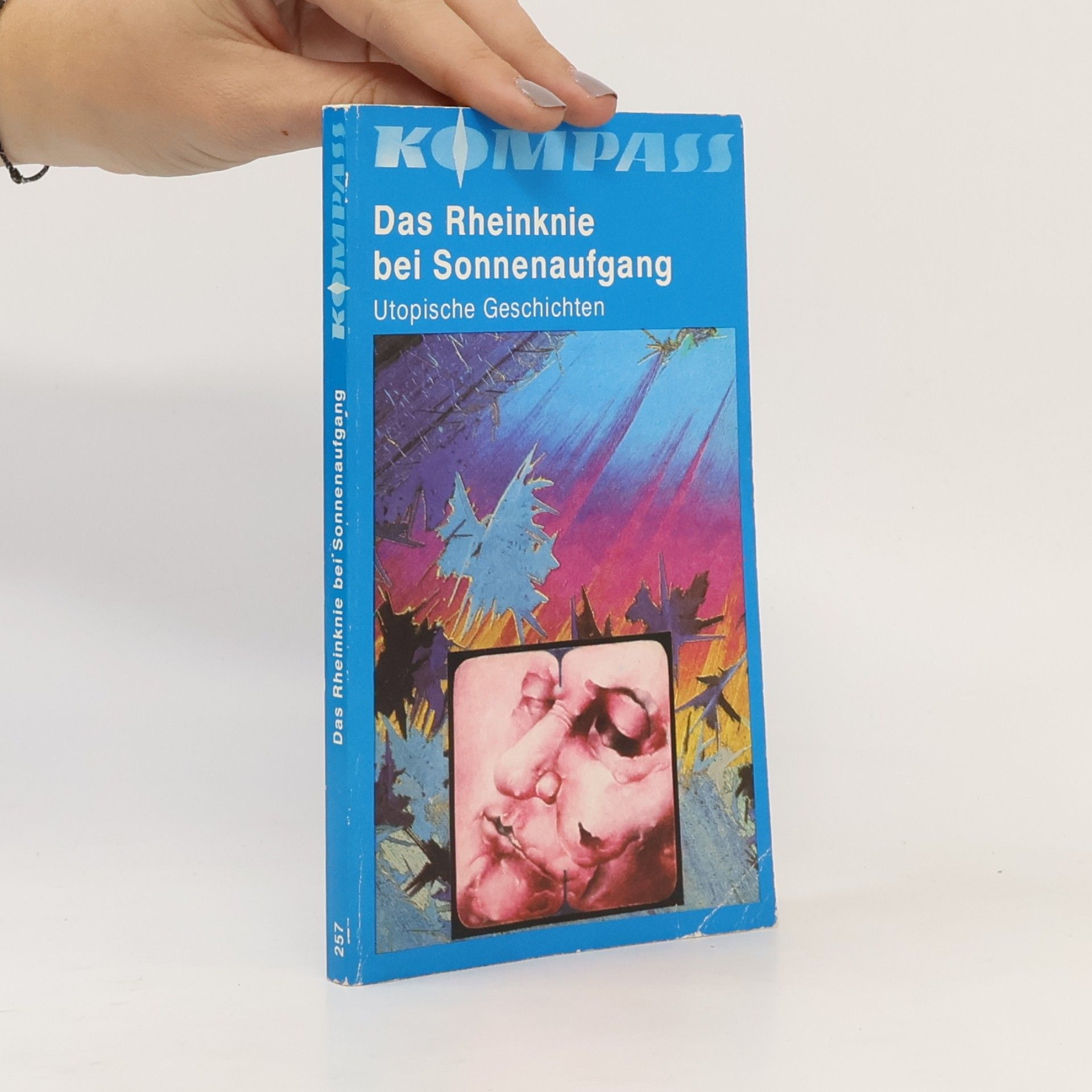 Autorenkollektiv Das Rheinknie bei Sonnenaufgang