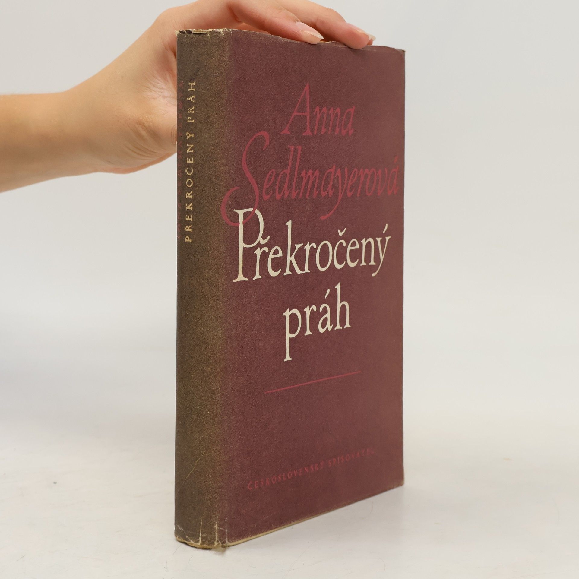 Anna Sedlmayerová Překročený práh