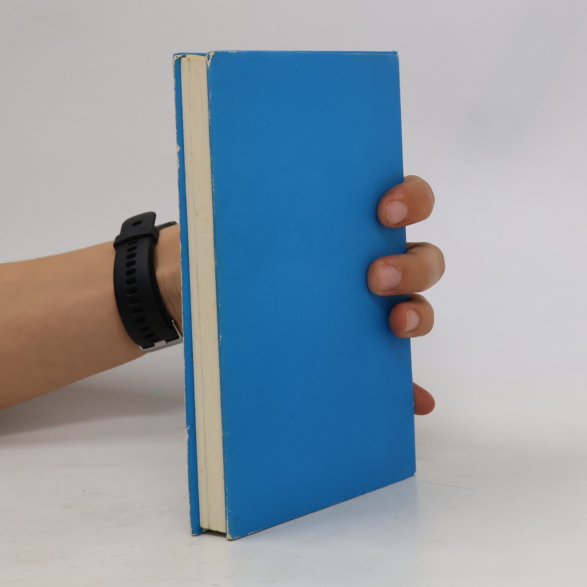 Max Wedemeyer Elisabeth
