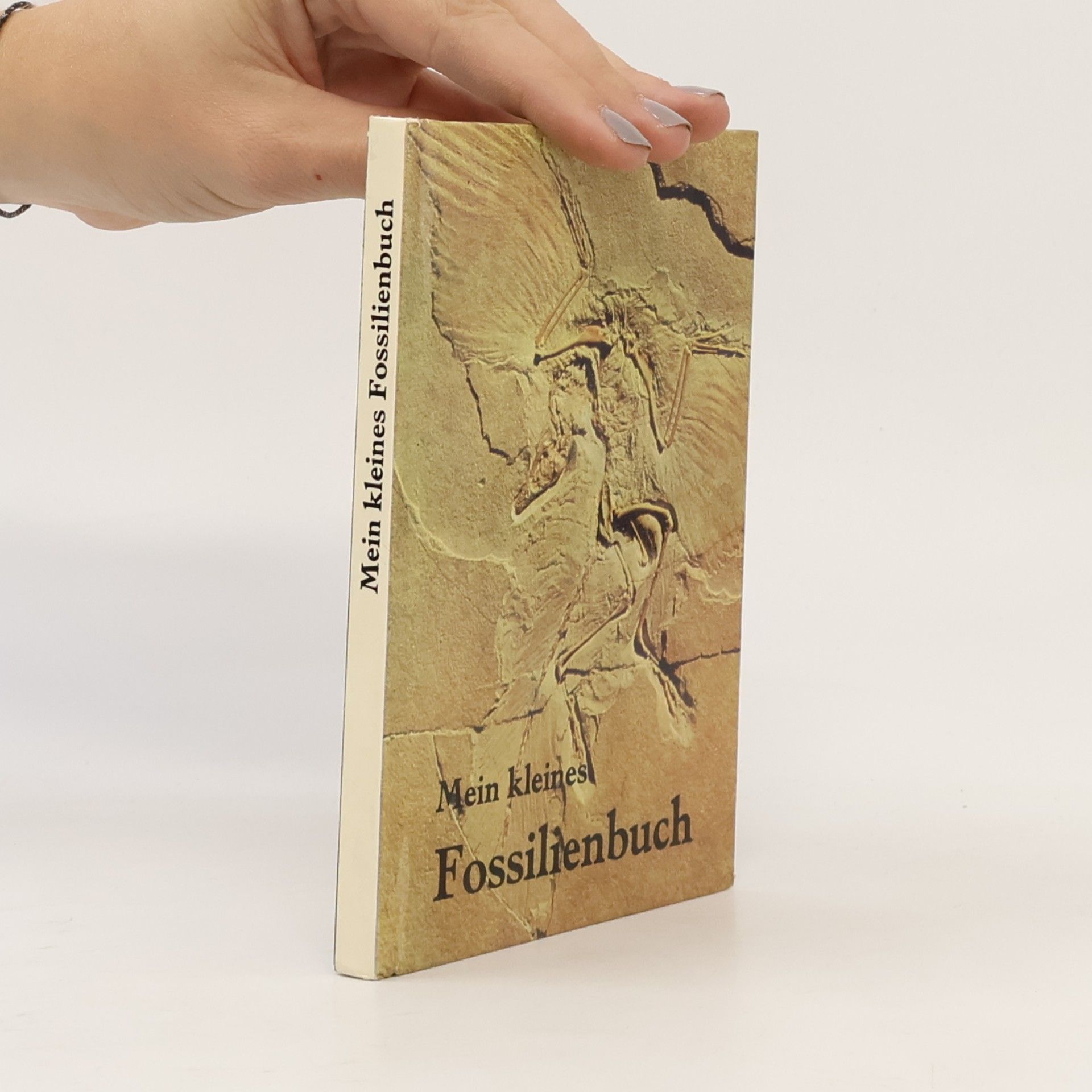 Rudolf Daber Mein kleines Fossilienbuch