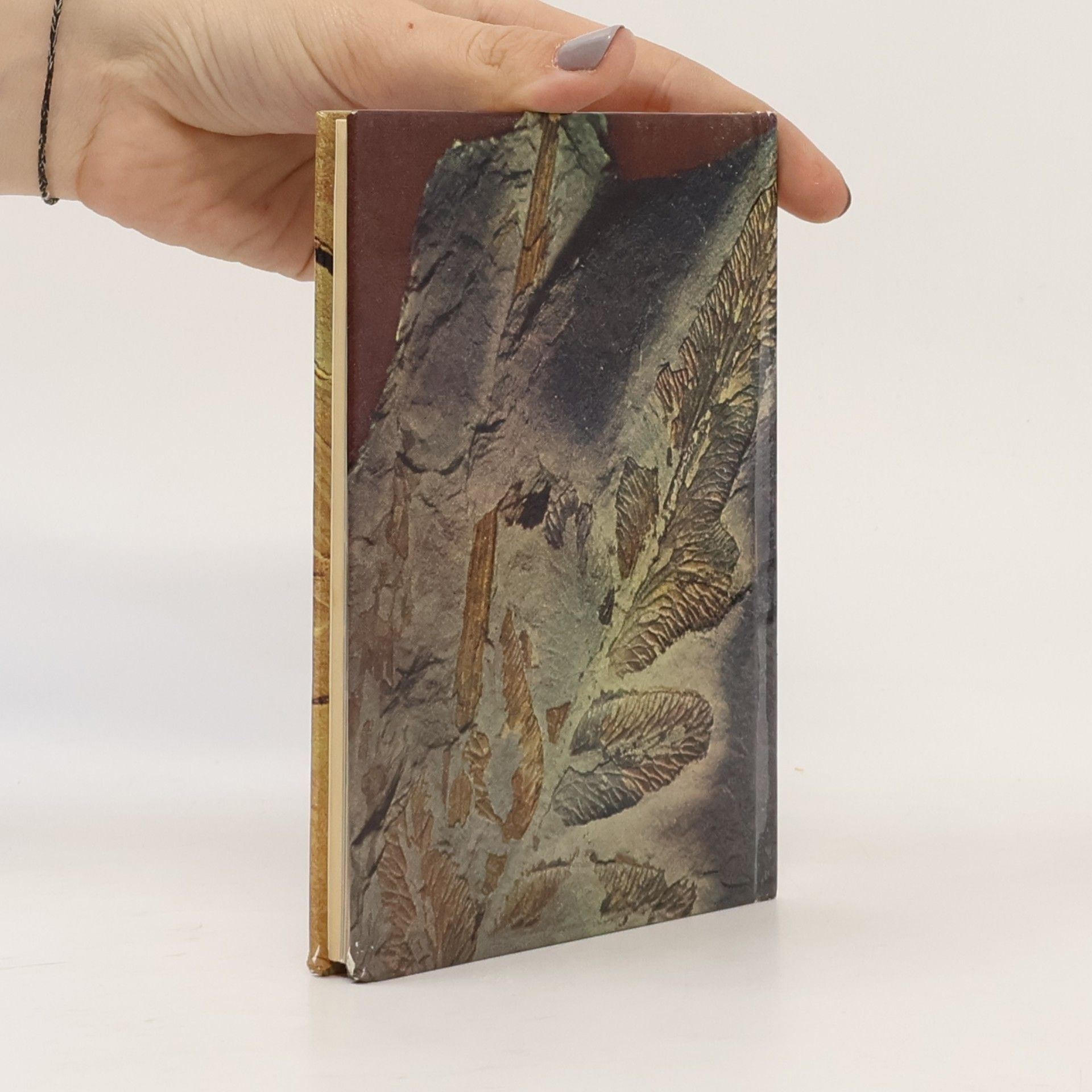 Rudolf Daber Mein kleines Fossilienbuch