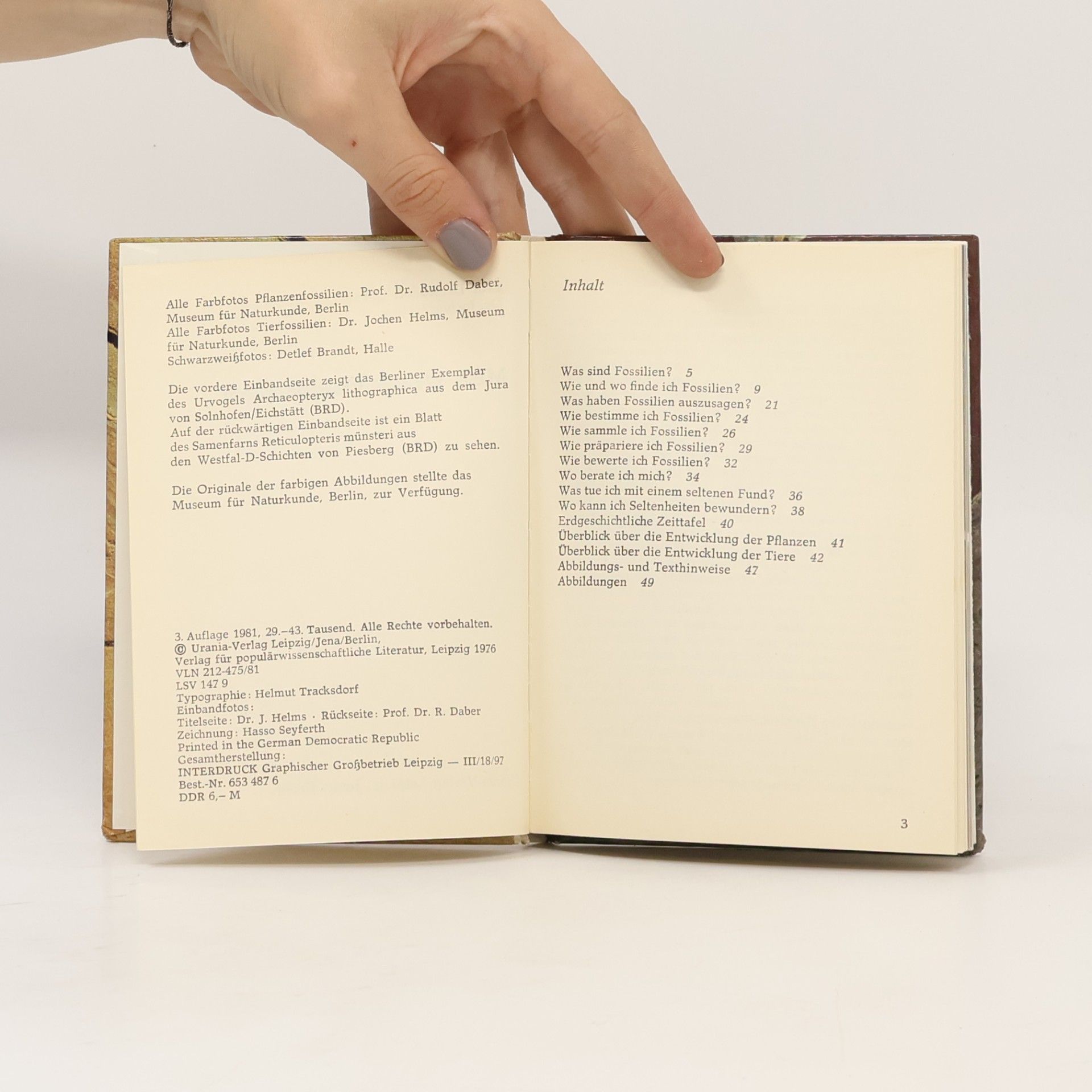Rudolf Daber Mein kleines Fossilienbuch