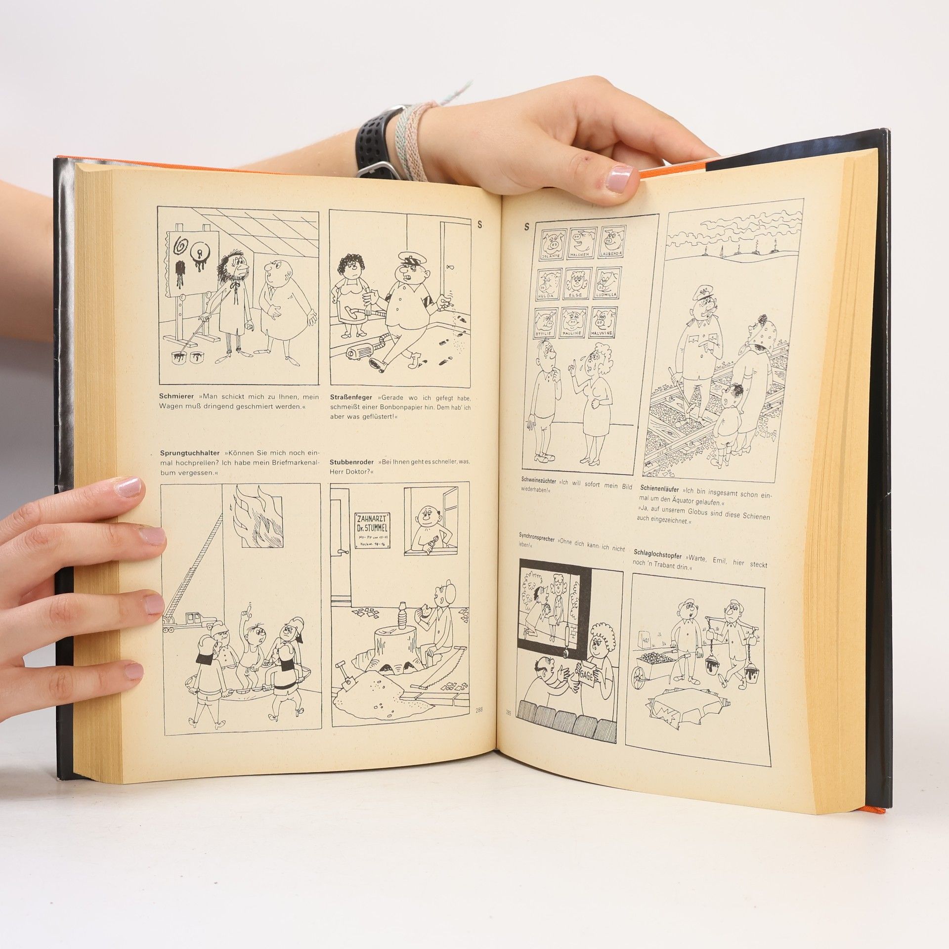 Autorenkollektiv Das dicke Schmitt-Buch