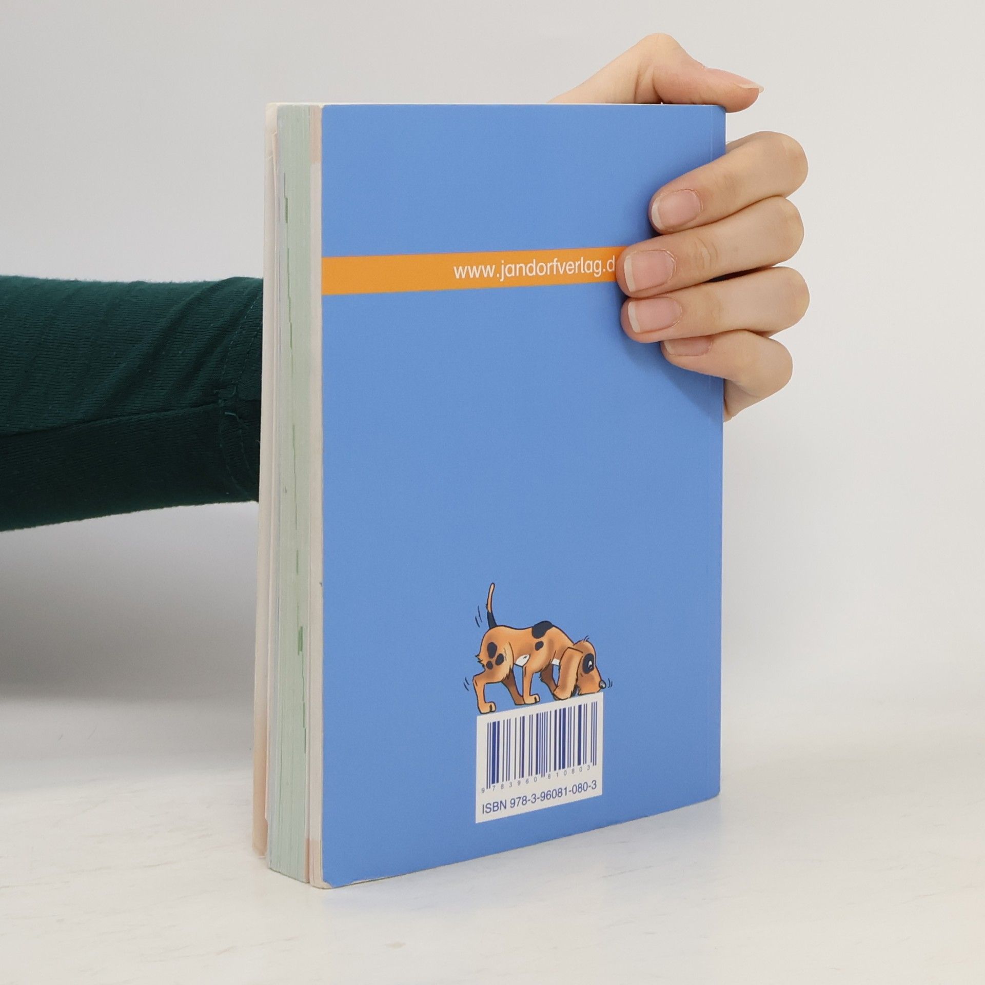 Wörterbuch für die Grundschule - mit Englischteil