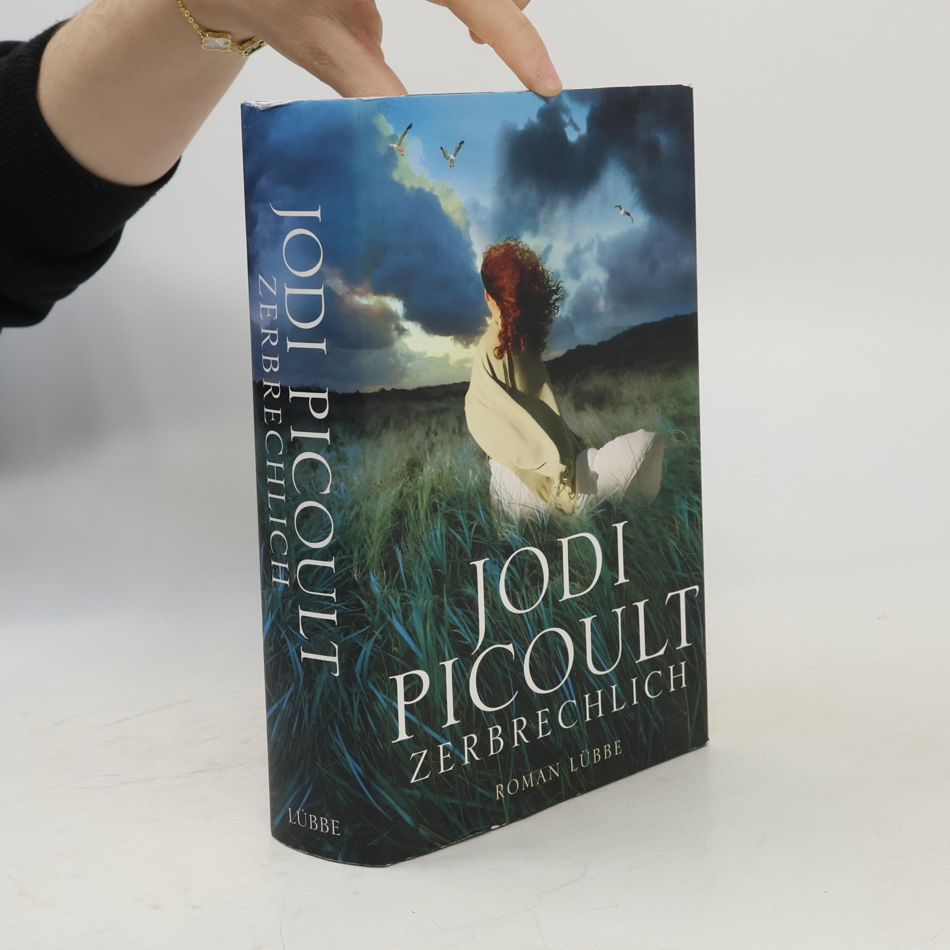 Jodi Picoult Zerbrechlich