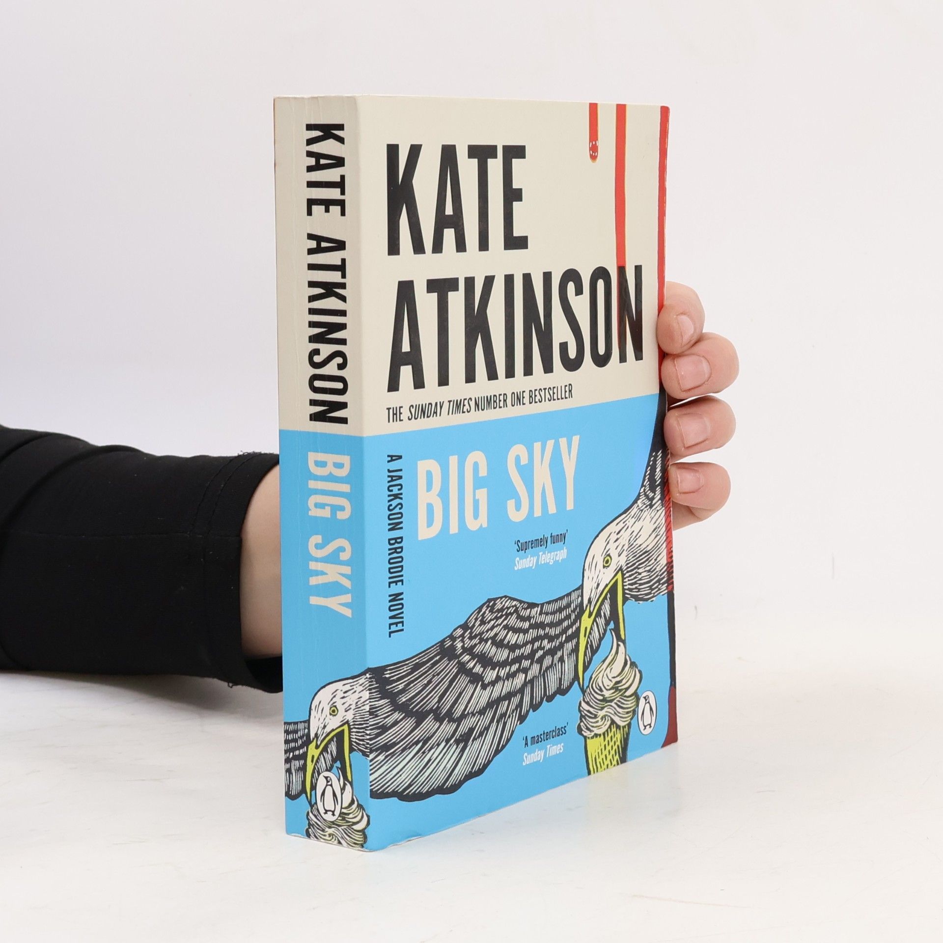 Kate Atkinson Big Sky