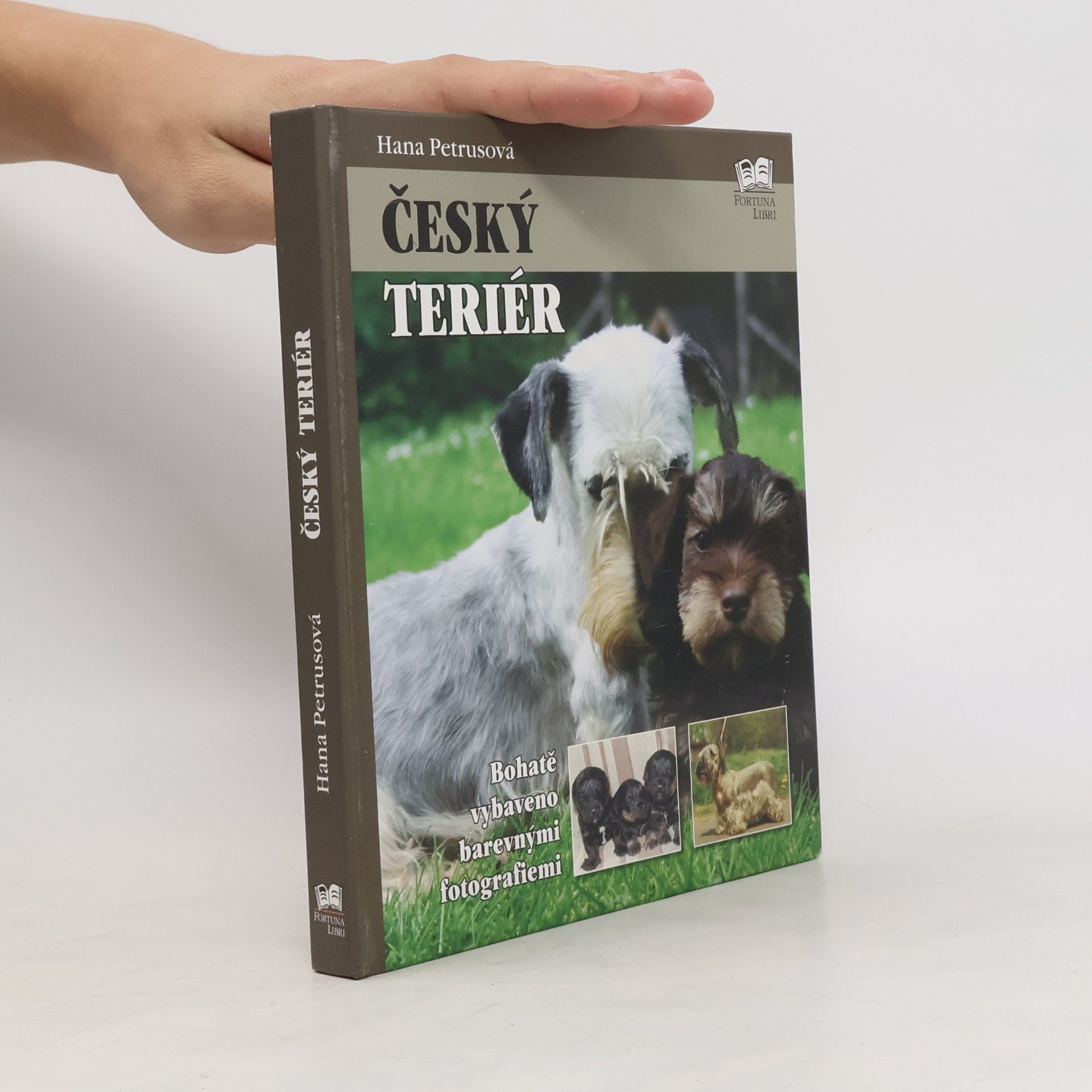 Hana Petrusová Český teriér