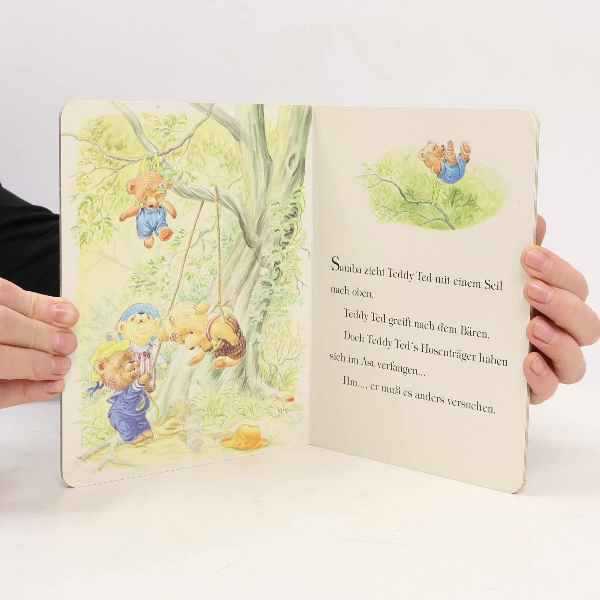 Kolektiv autorů Die Teddybären und die tollkühne Rettung