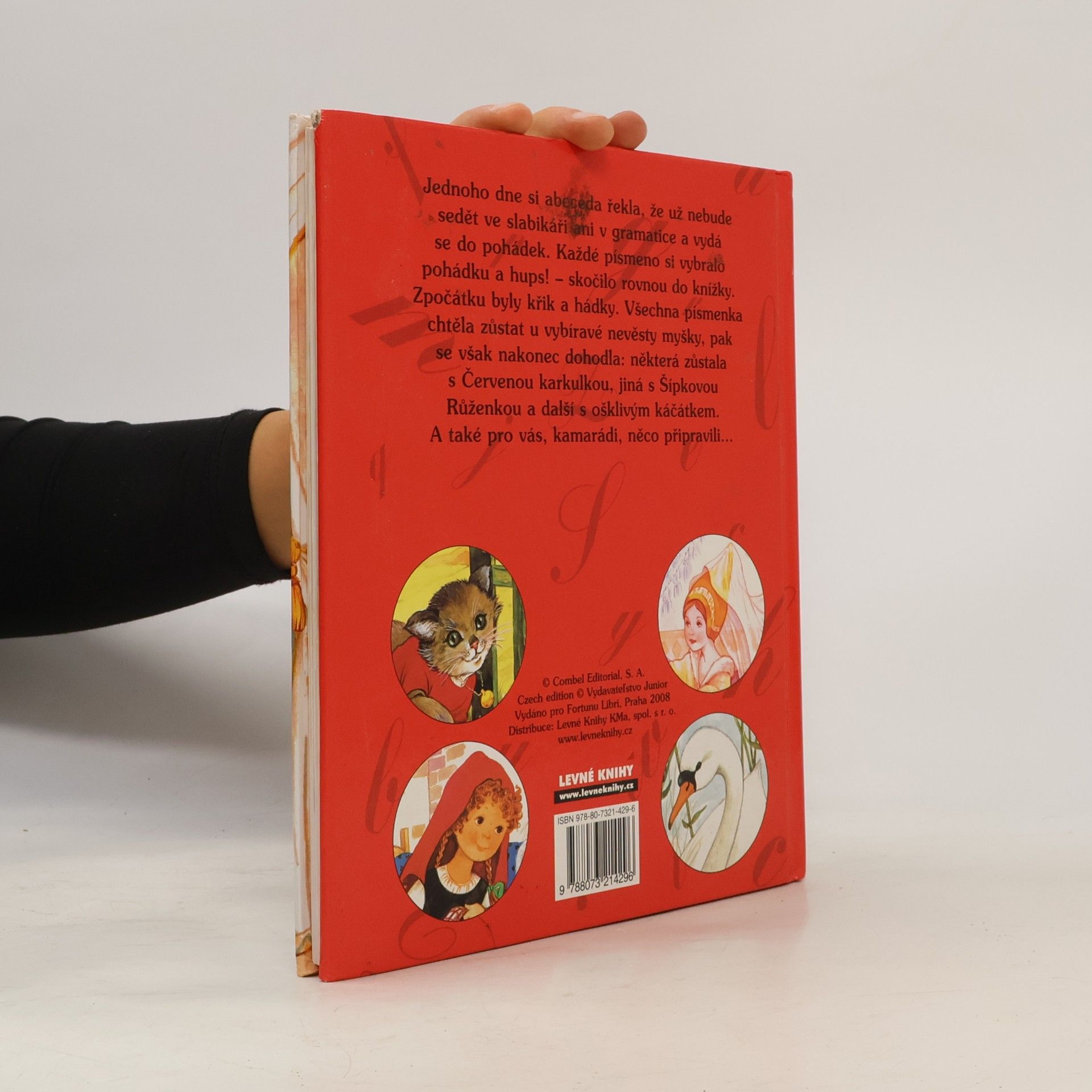 Autorenkollektiv Pohádkový slabikář. Šípková Růženka a jiné pohádky