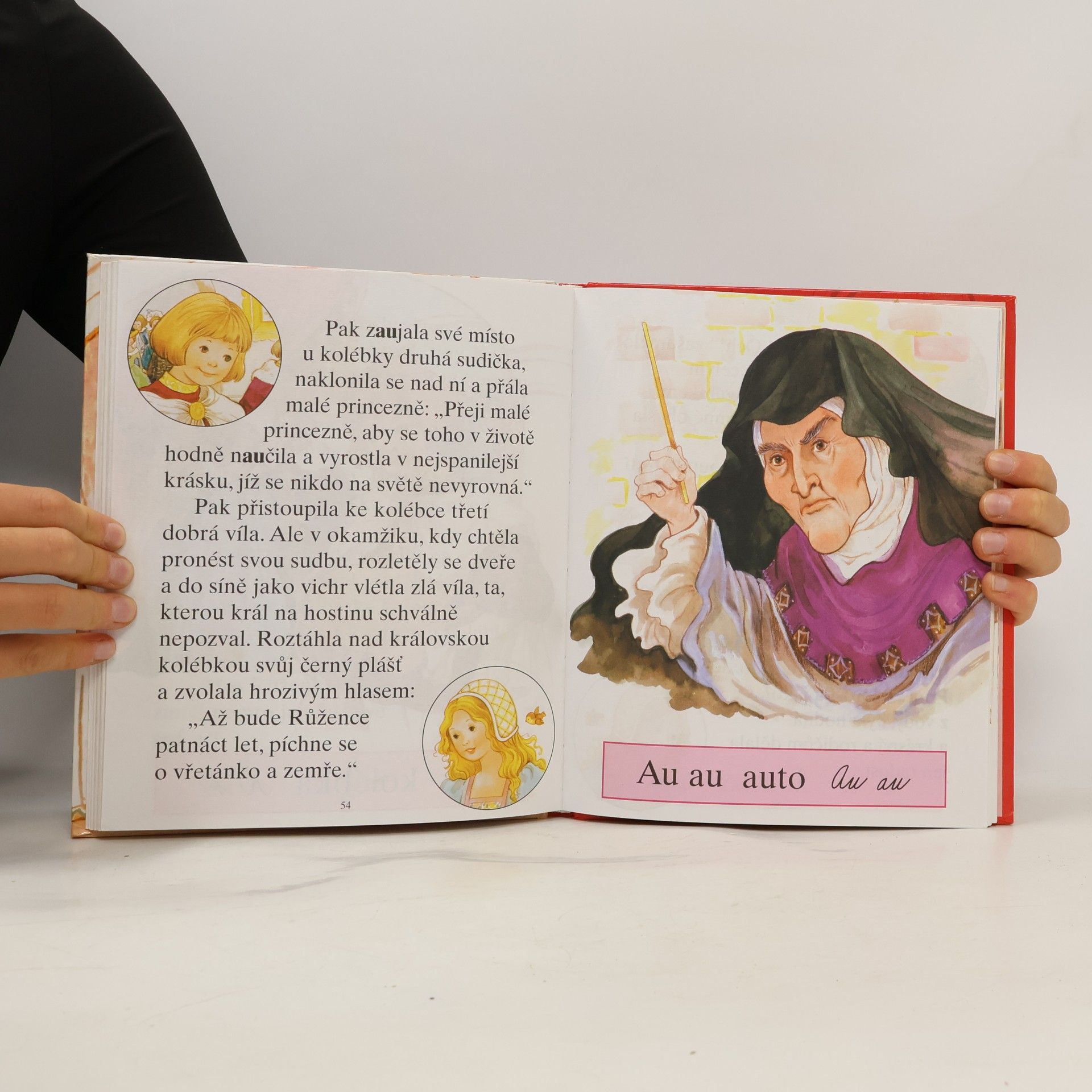 Autorenkollektiv Pohádkový slabikář. Šípková Růženka a jiné pohádky