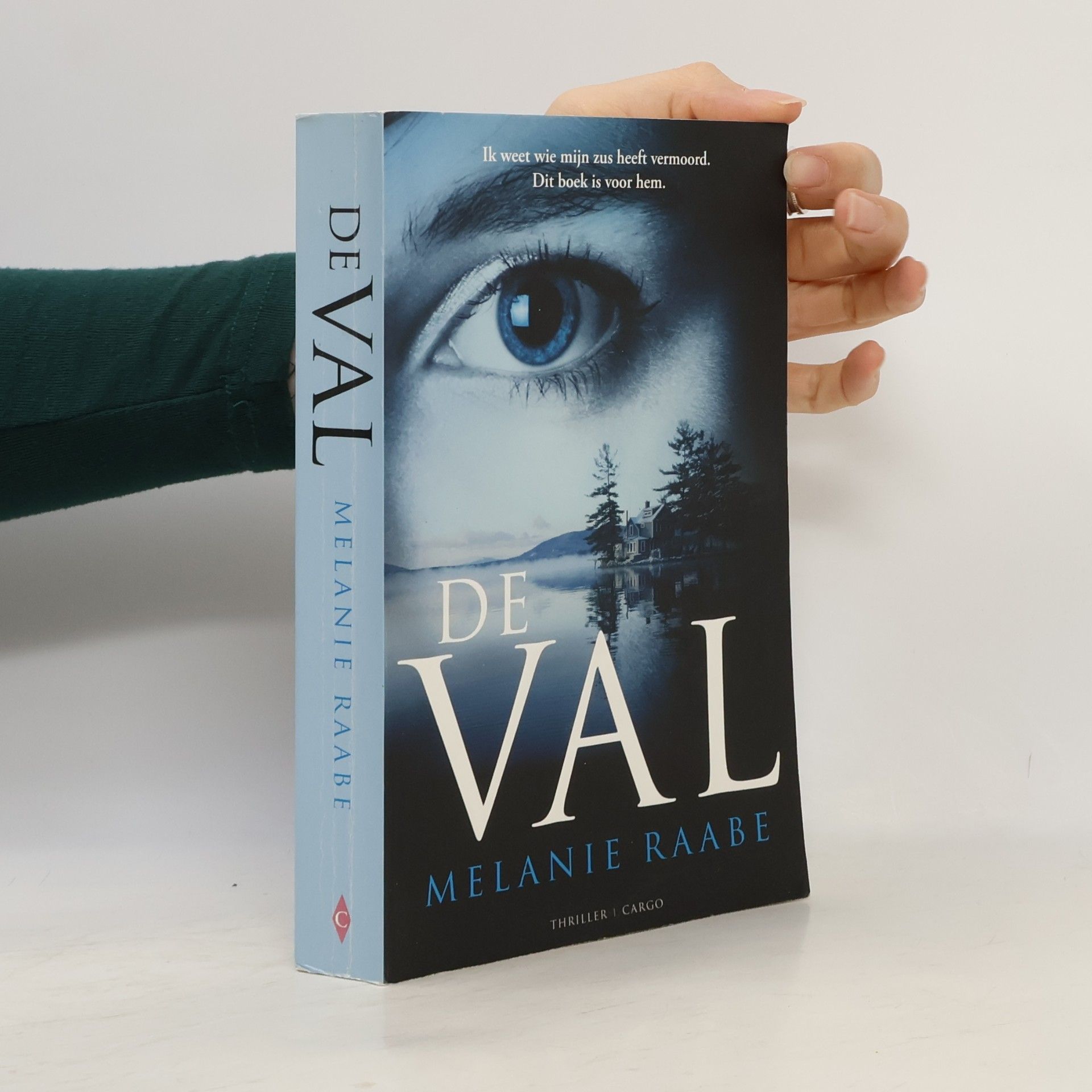 Sander Hoving De val