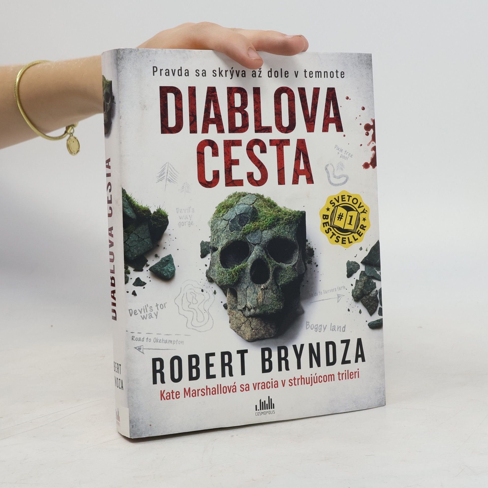 Robert Bryndza Diablova cesta