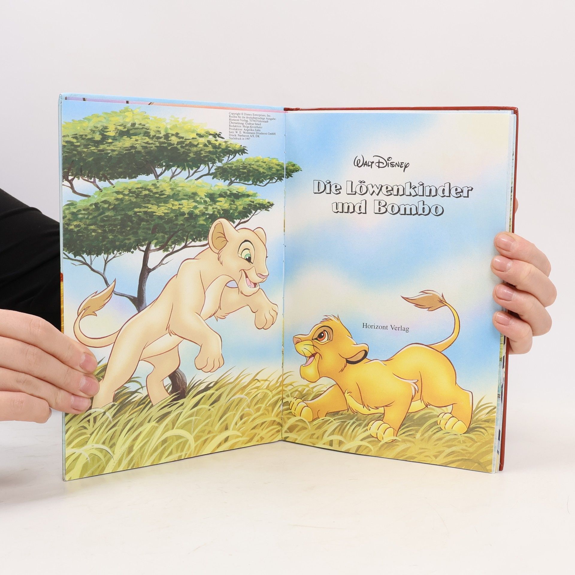 Walt Disney Die Löwenkinder und Bombo