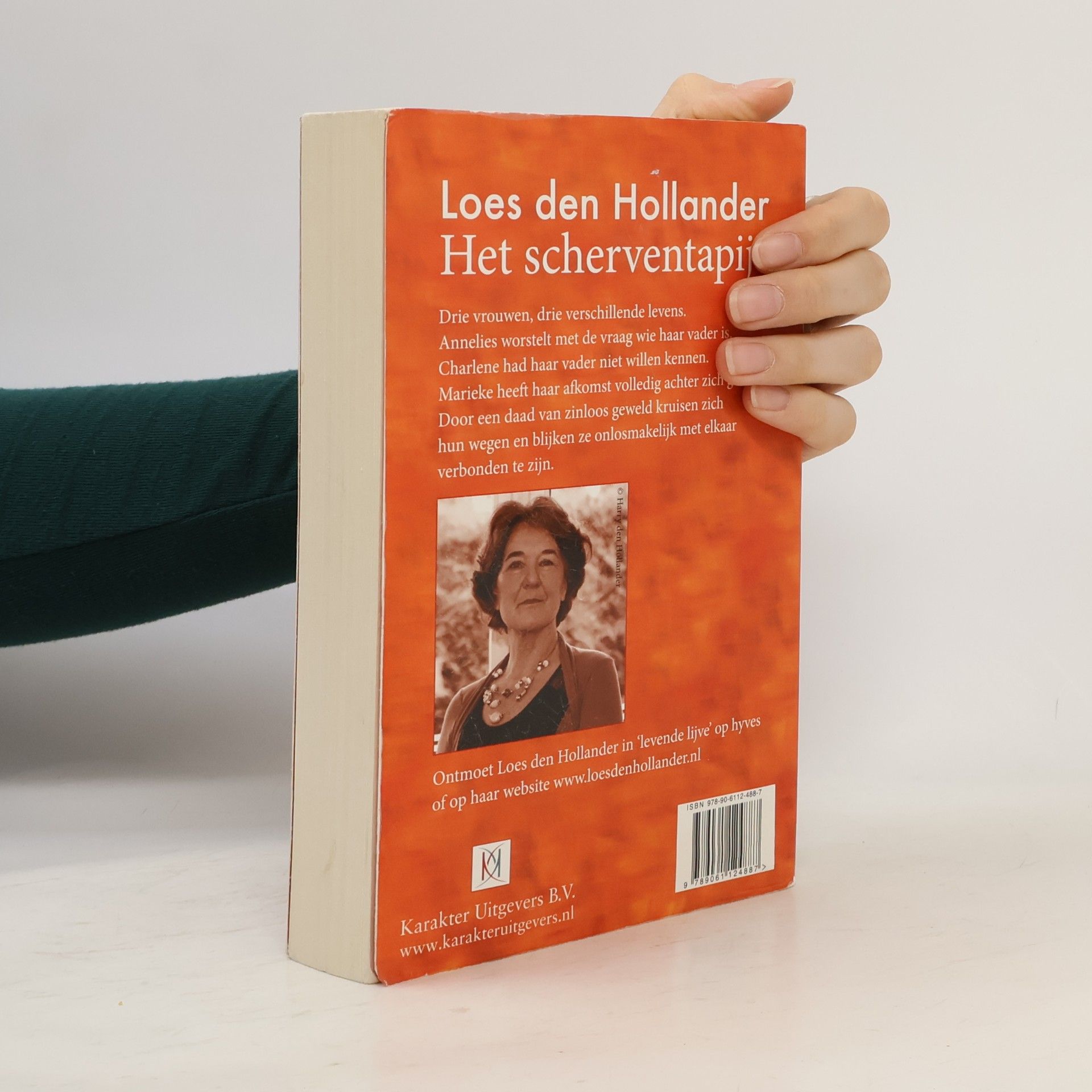 Loes den Hollander Het scherventapijt