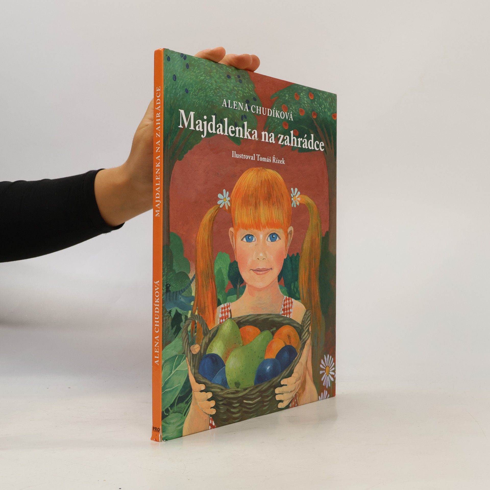Alena Chudíková Majdalenka na zahrádce