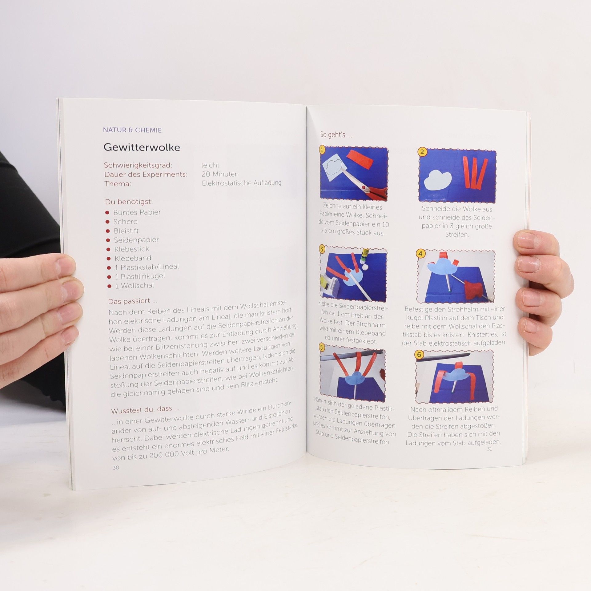 Autorenkollektiv DIY Experimente Handbuch. Herbst Edition