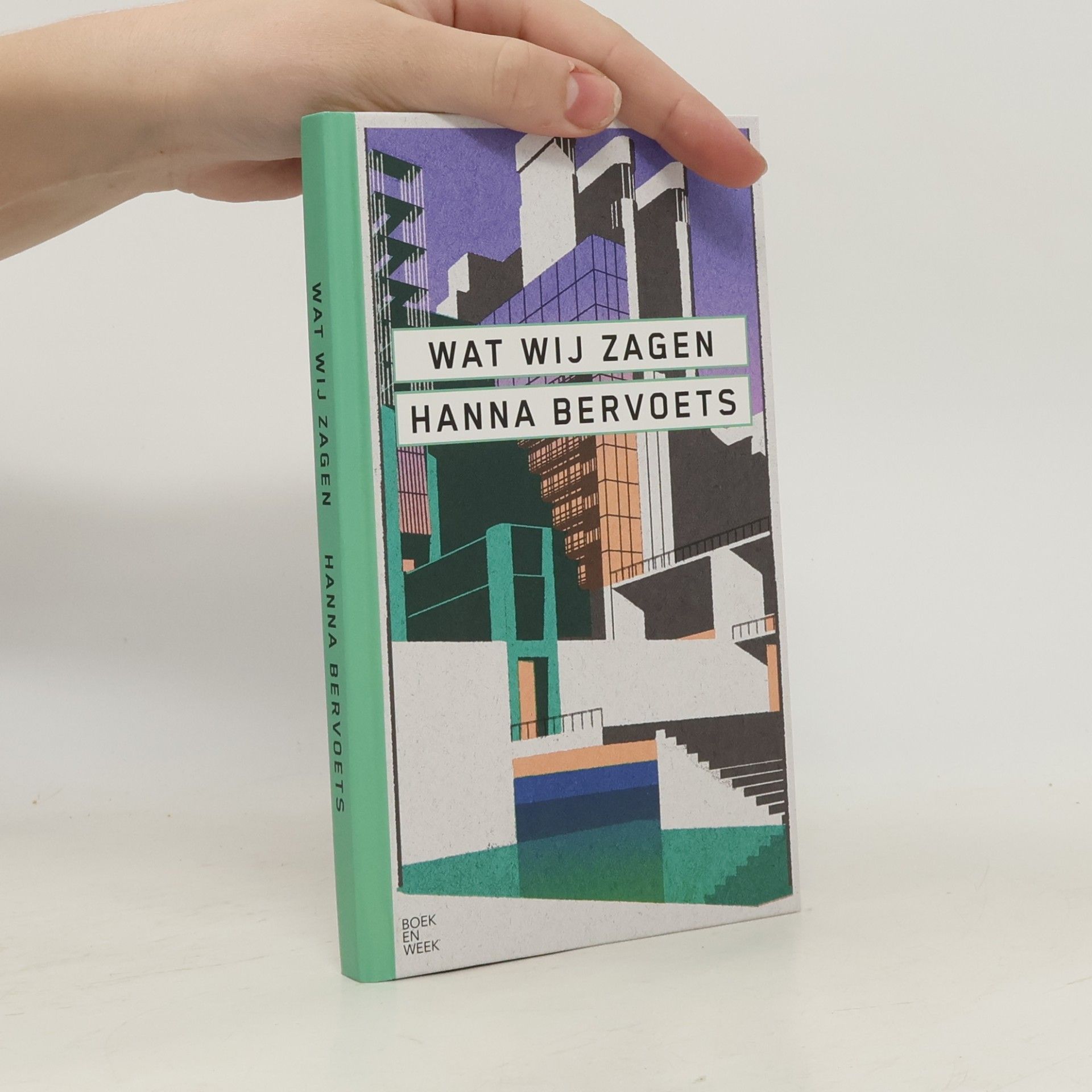 Hanna Bervoets Wat wij zagen