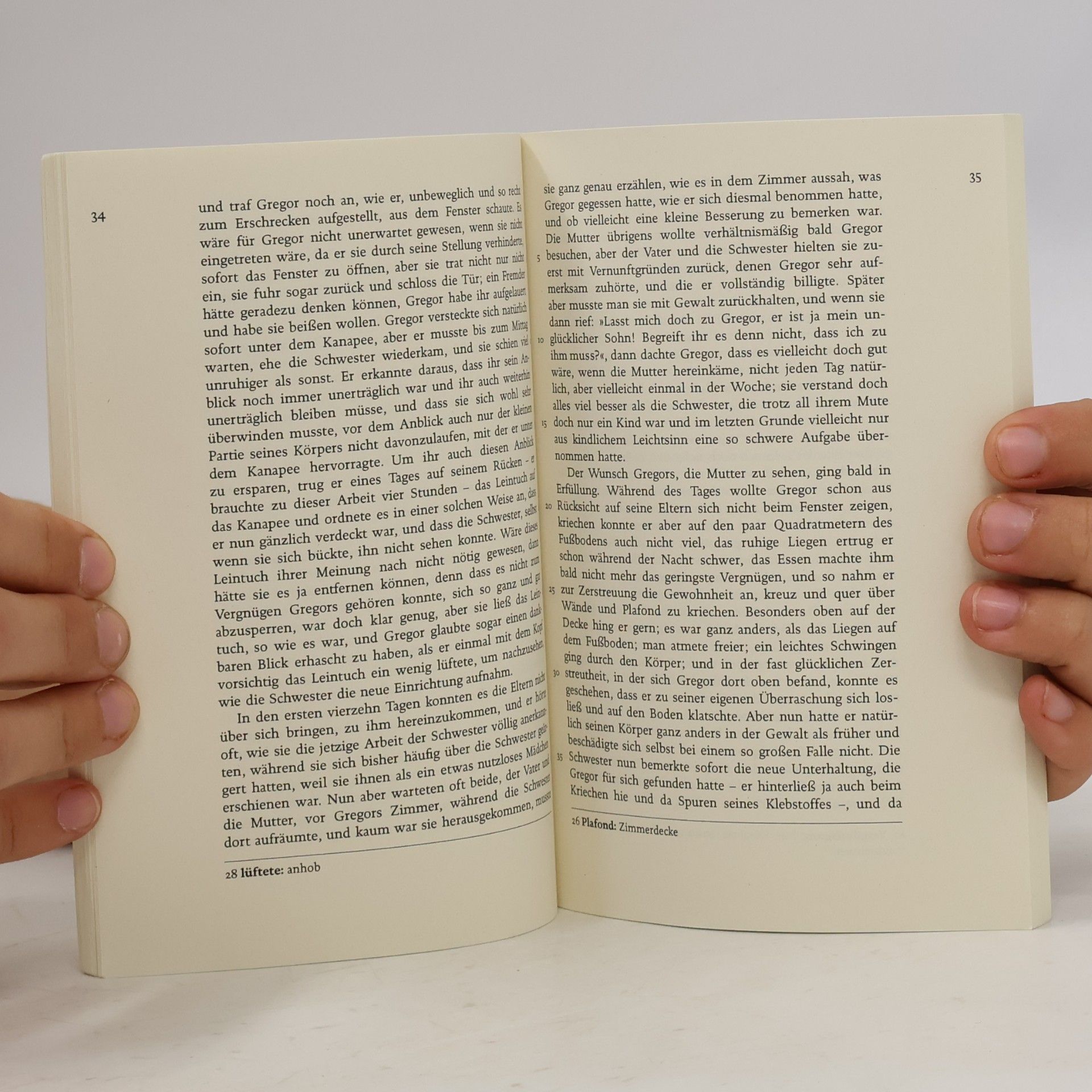 Franz Kafka Die Verwandlung