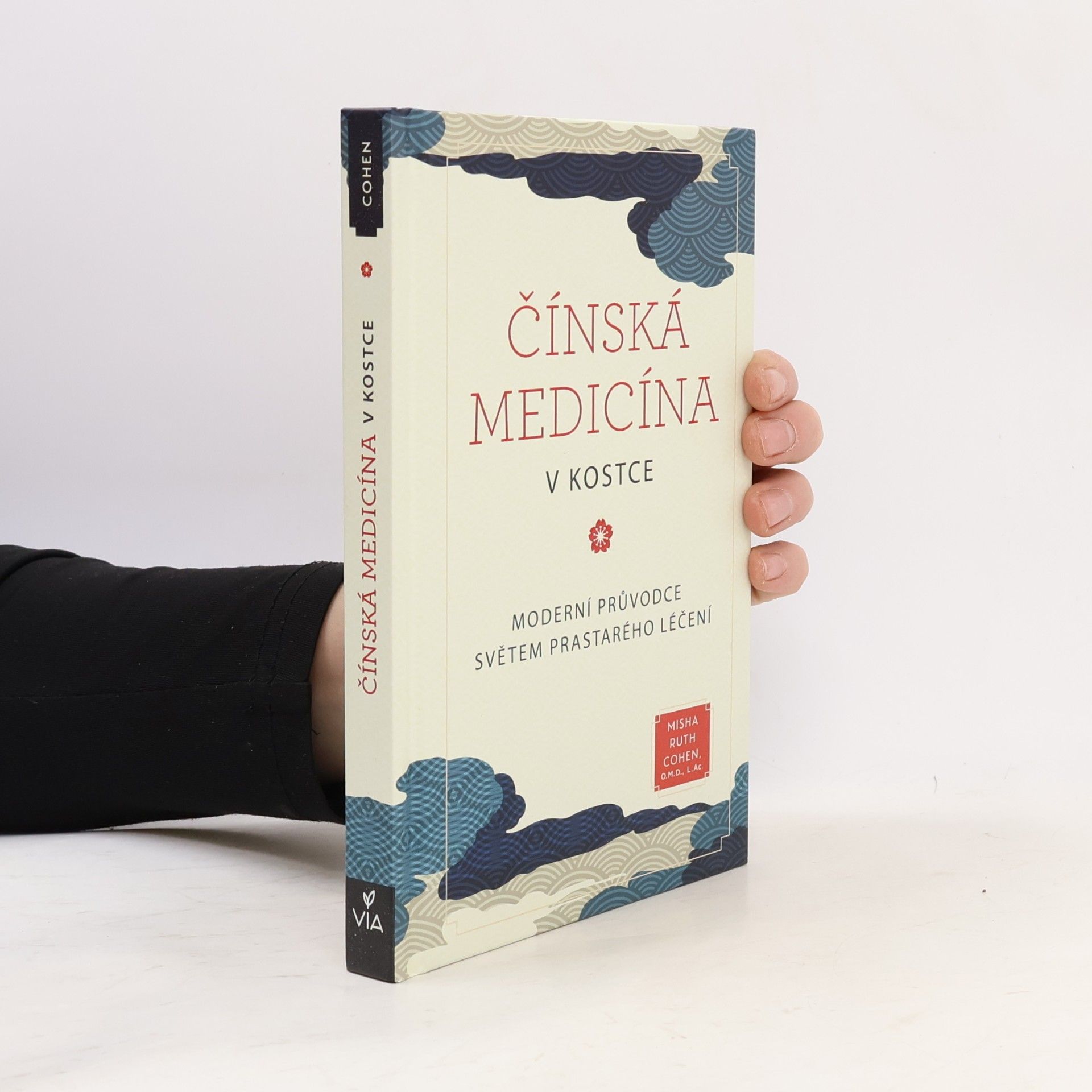 Čínská medicína v kostce : moderní průvodce světem prastarého léčení