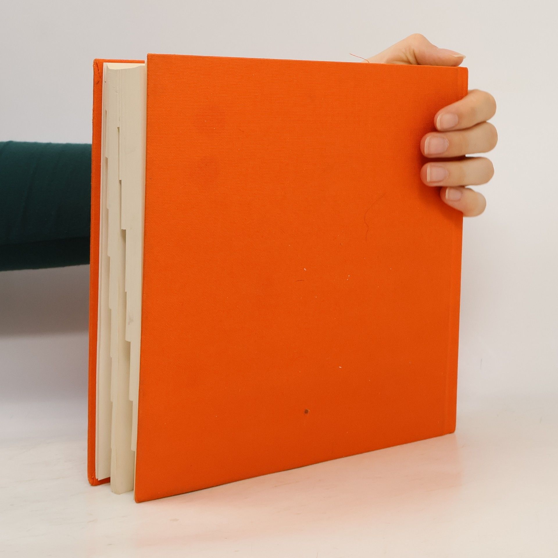 Karl Biasin RWE Energie Bau-Handbuch