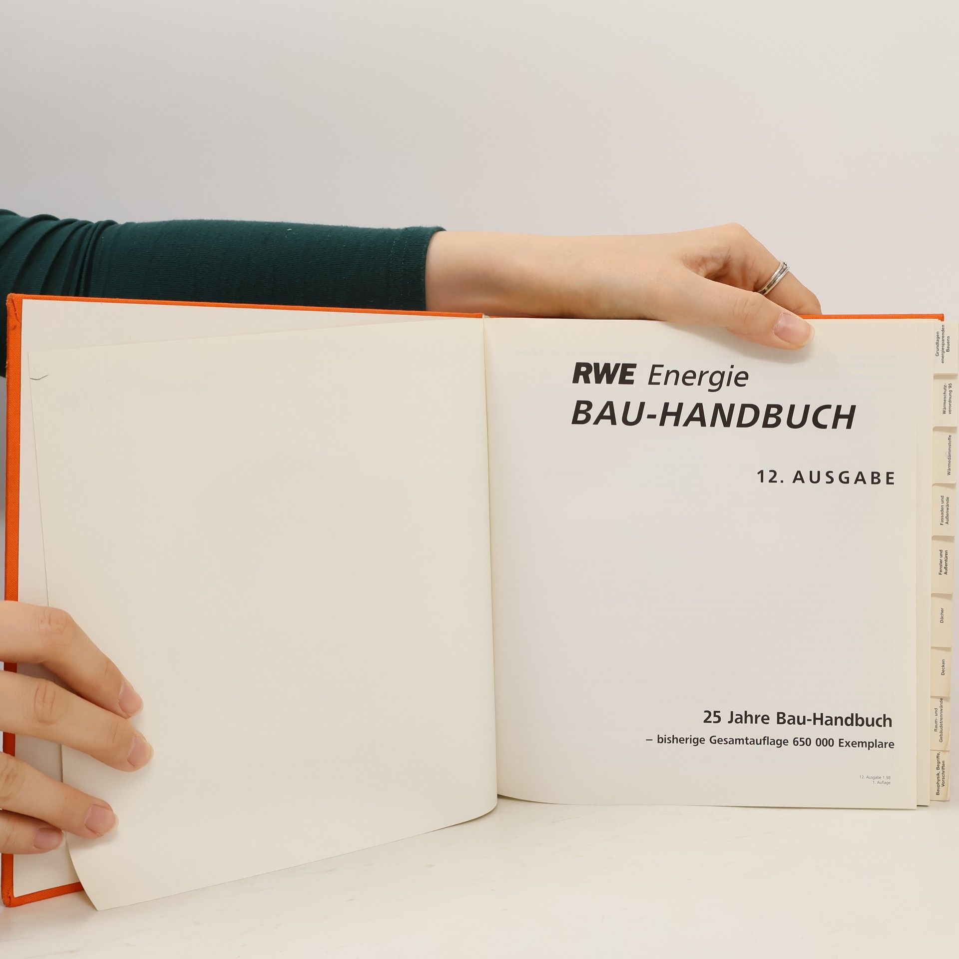 Karl Biasin RWE Energie Bau-Handbuch