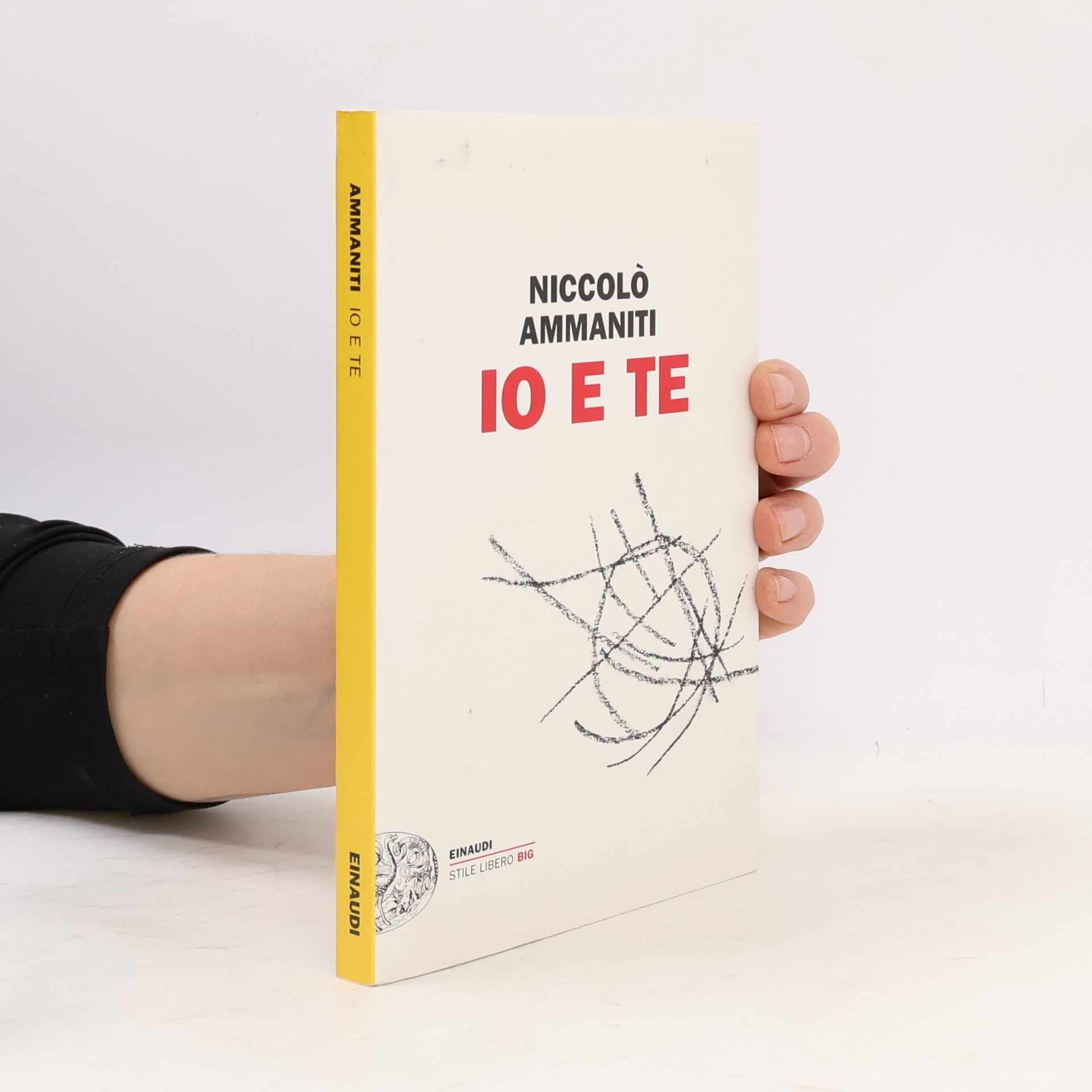 Niccolò Ammaniti Io e te