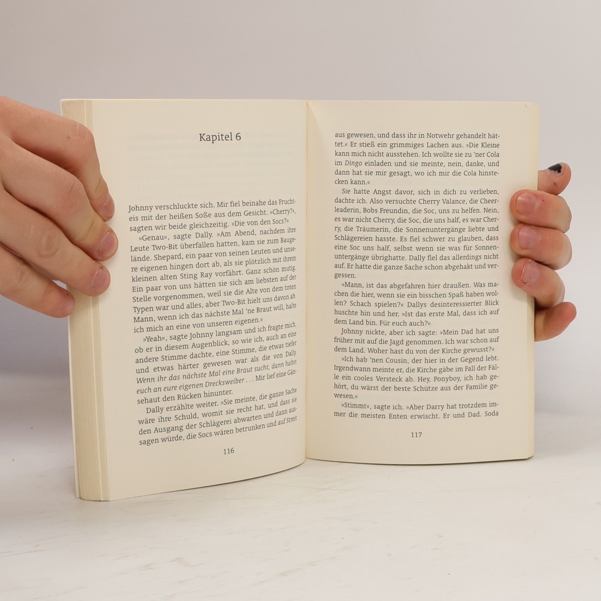 S. E. Hinton Die Outsider