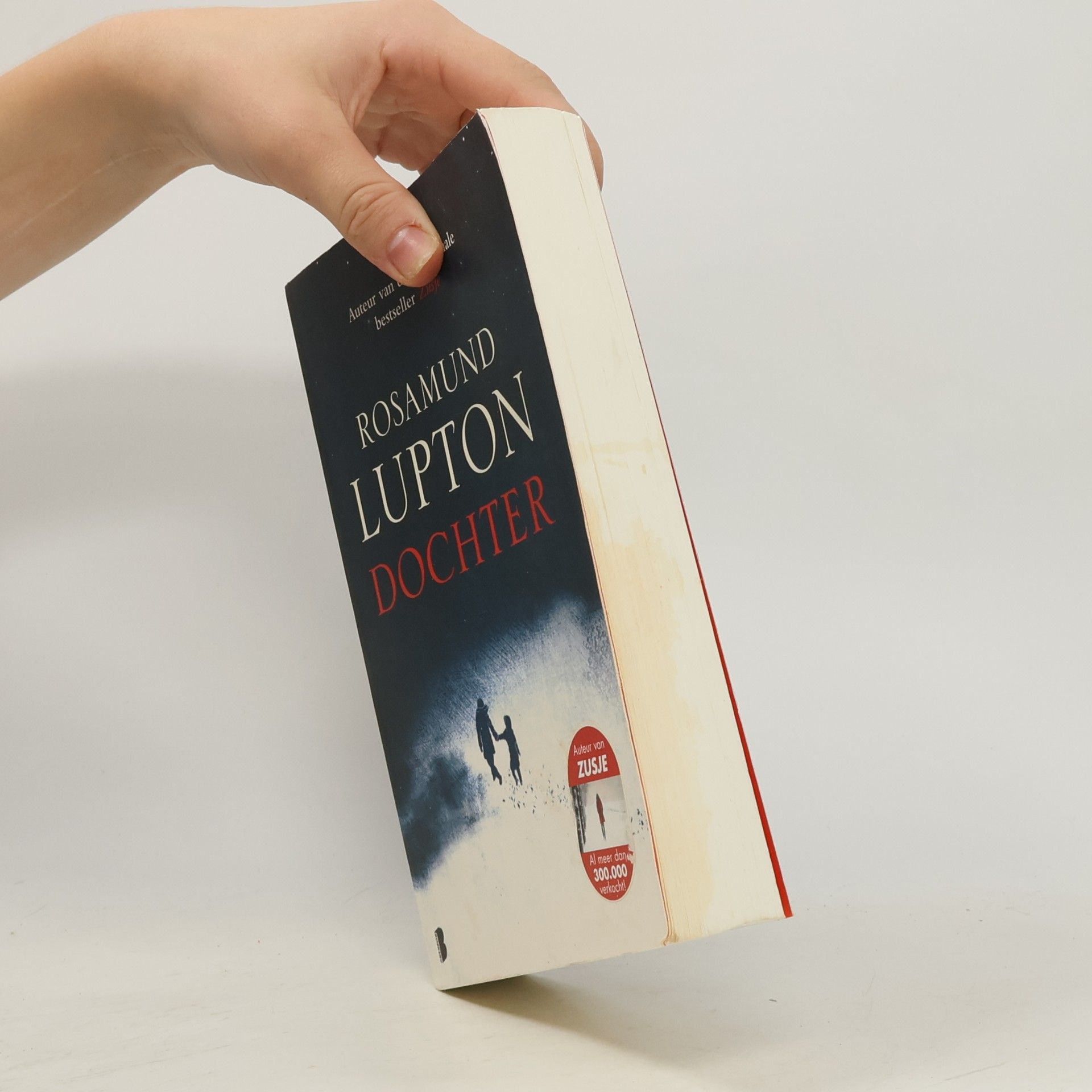 Rosamund Lupton Dochter / druk 1