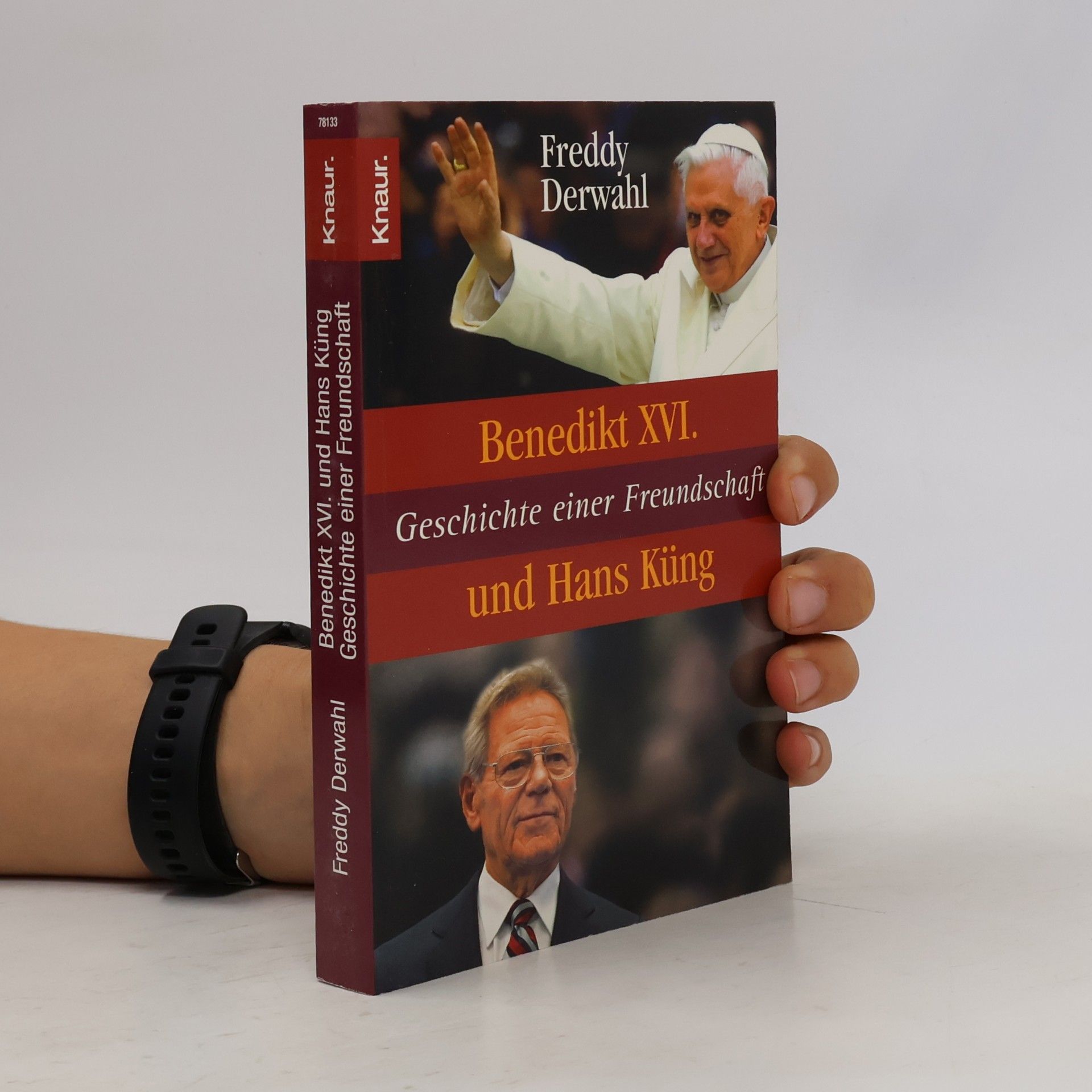 Freddy Derwahl Benedikt XVI. und Hans Küng