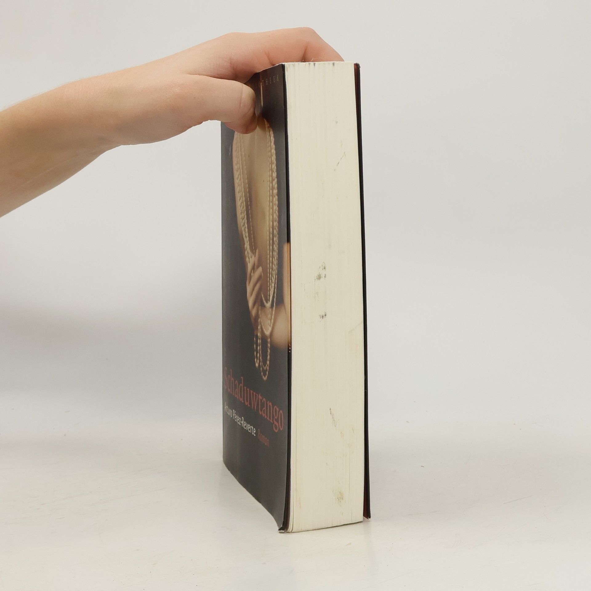 Arturo Pérez Reverte Wereldbibliotheek: Schaduwtango