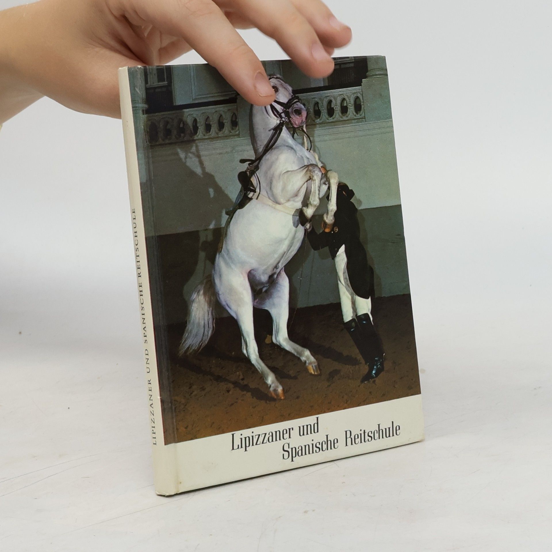 Lipizzaner und Spanische Reitschule