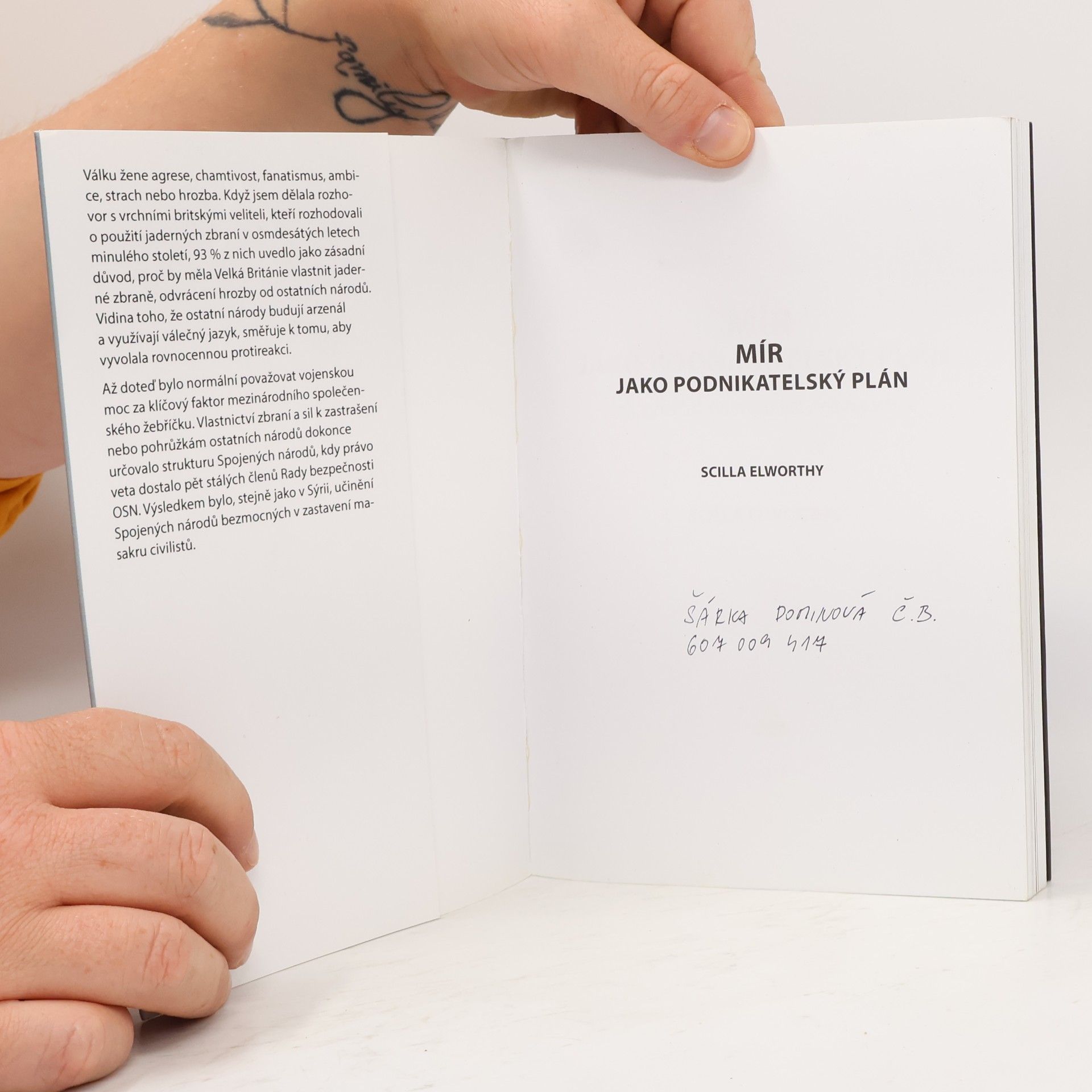 Scilla Elworthy Mír jako podnikatelský plán