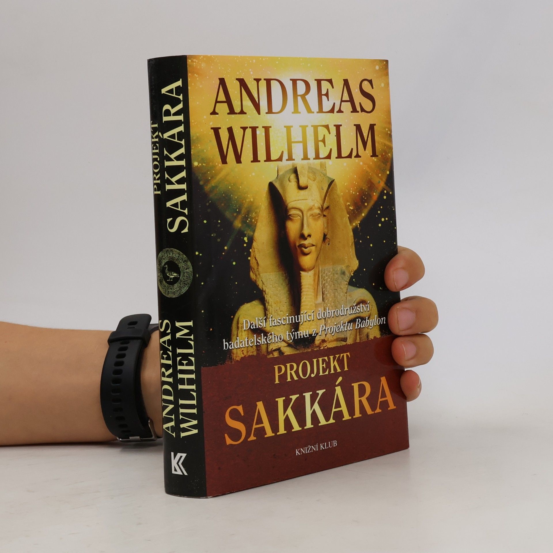 Andreas Wilhelm Projekt Sakkára